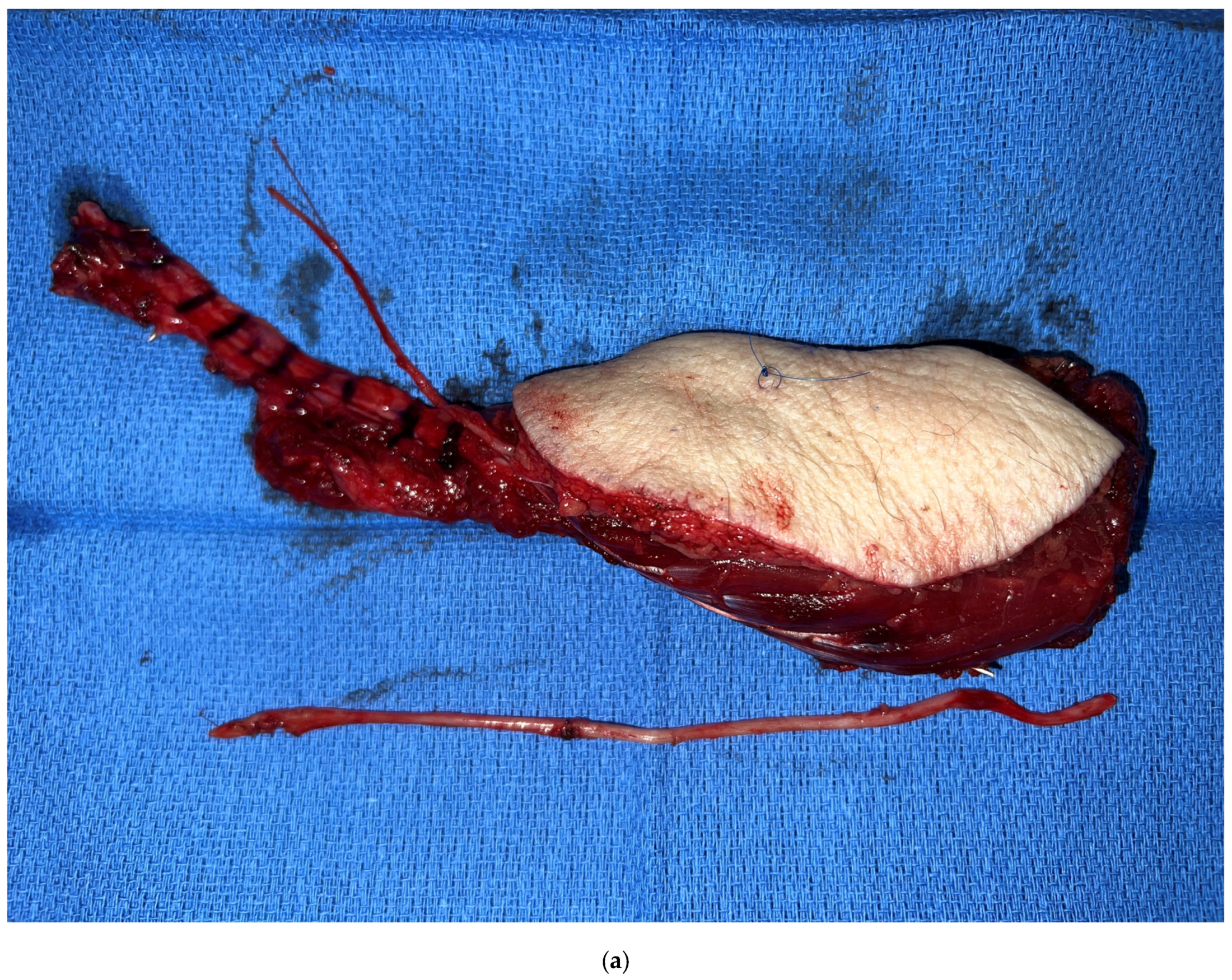 Medicina 59 01194 g003a Medicina 59 01194 g003a