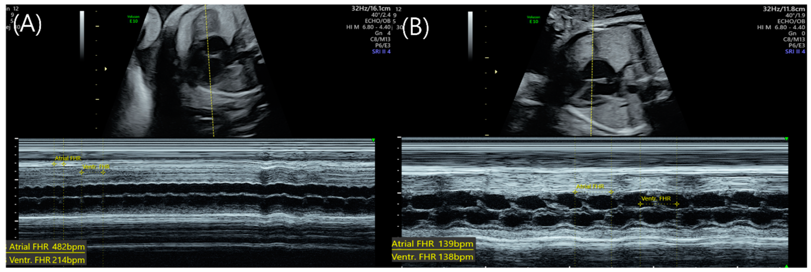 Medicina 59 01198 g001 Medicina 59 01198 g001