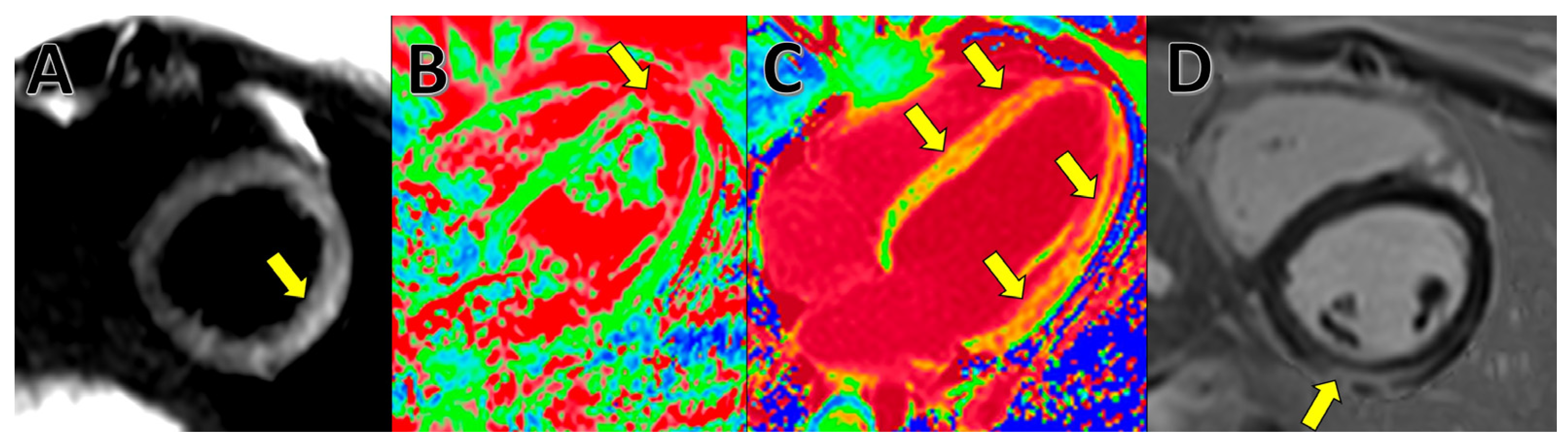 Medicina 59 01223 g003