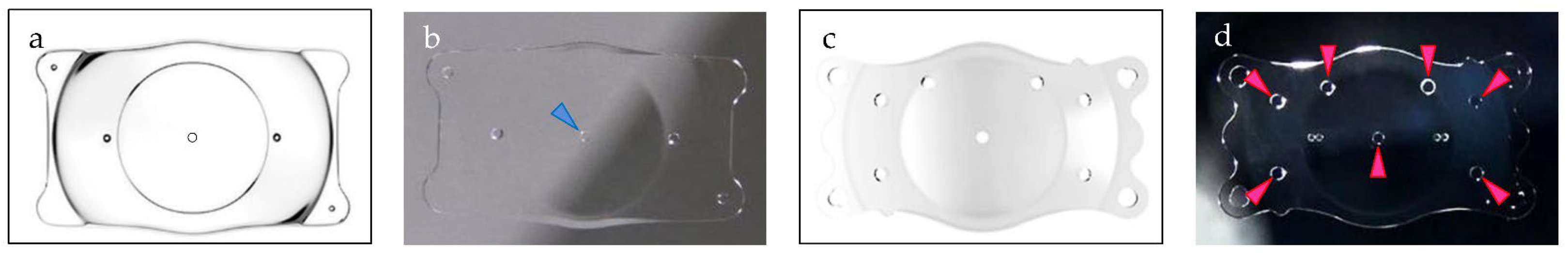 Medicina 59 01282 g002 Medicina 59 01282 g002