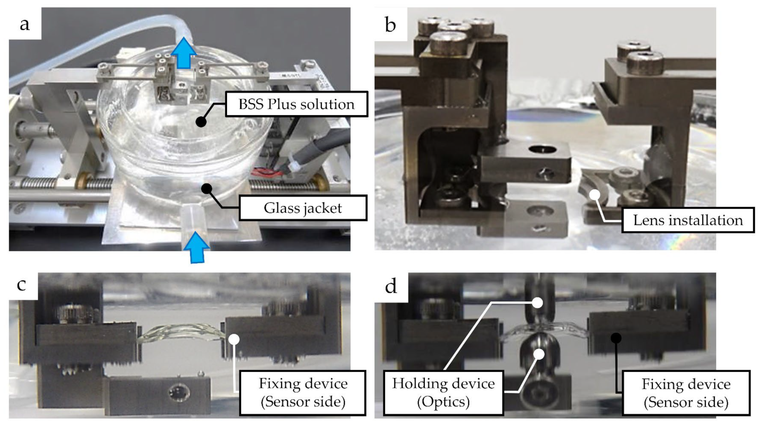 Medicina 59 01282 g003 Medicina 59 01282 g003