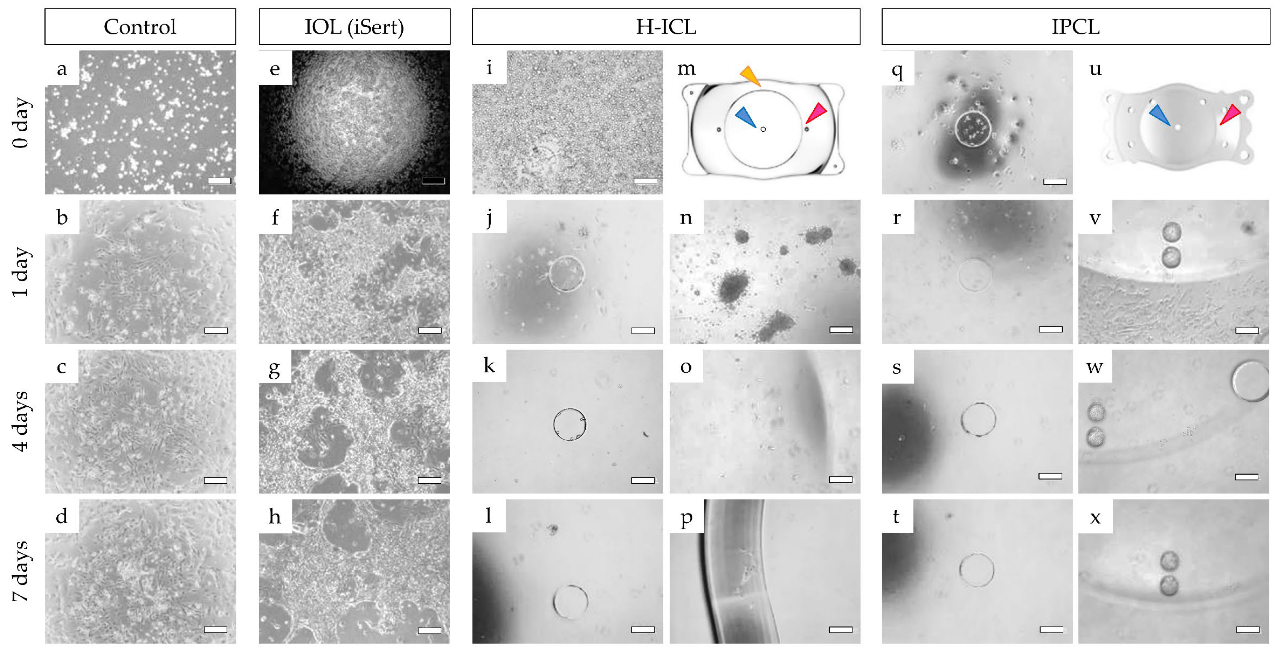 Medicina 59 01282 g009 Medicina 59 01282 g009