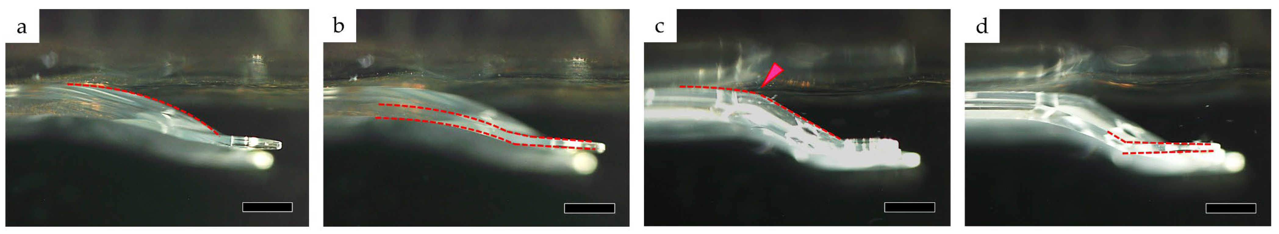 Medicina 59 01282 g011 Medicina 59 01282 g011