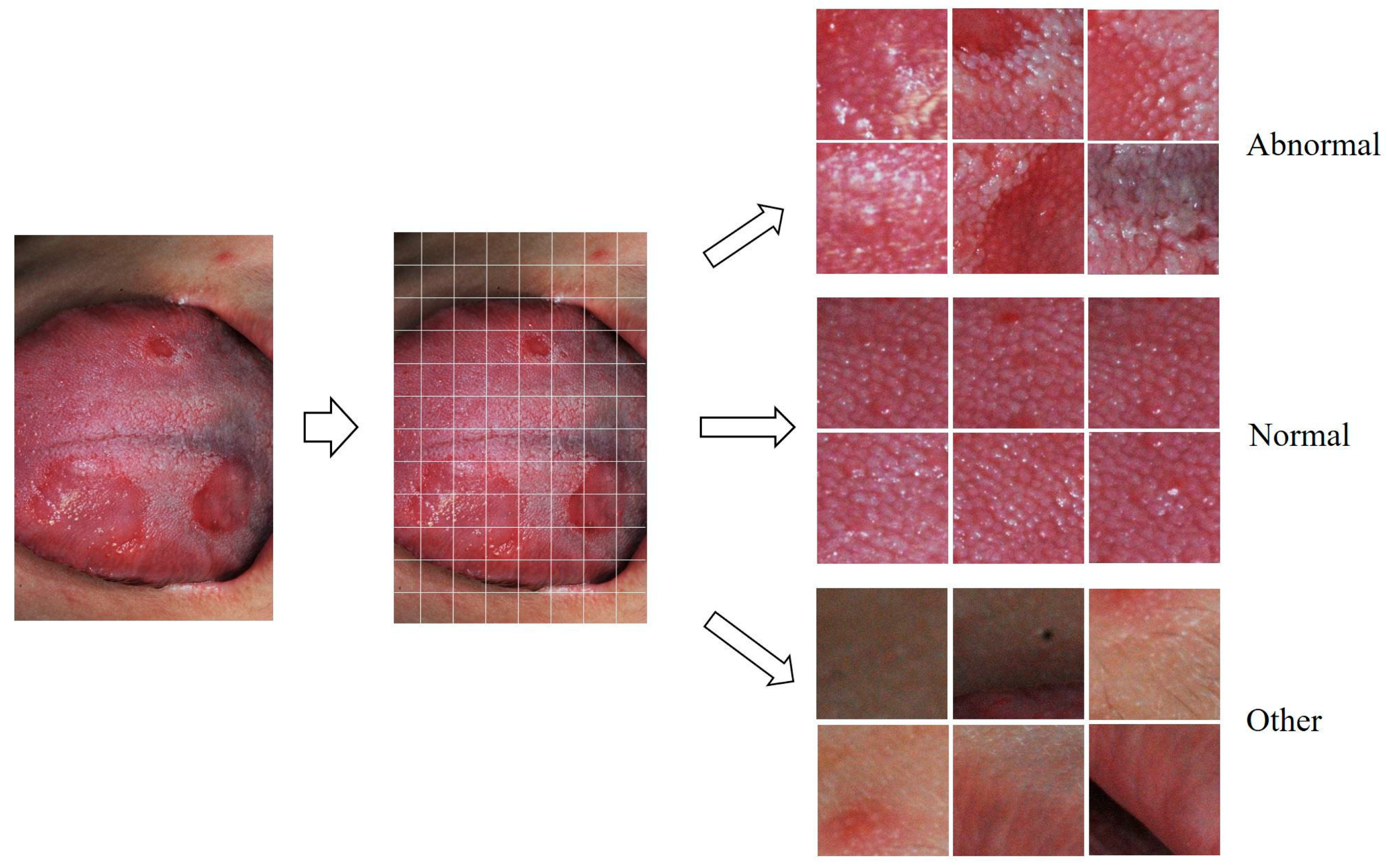 Medicina 59 01293 g001