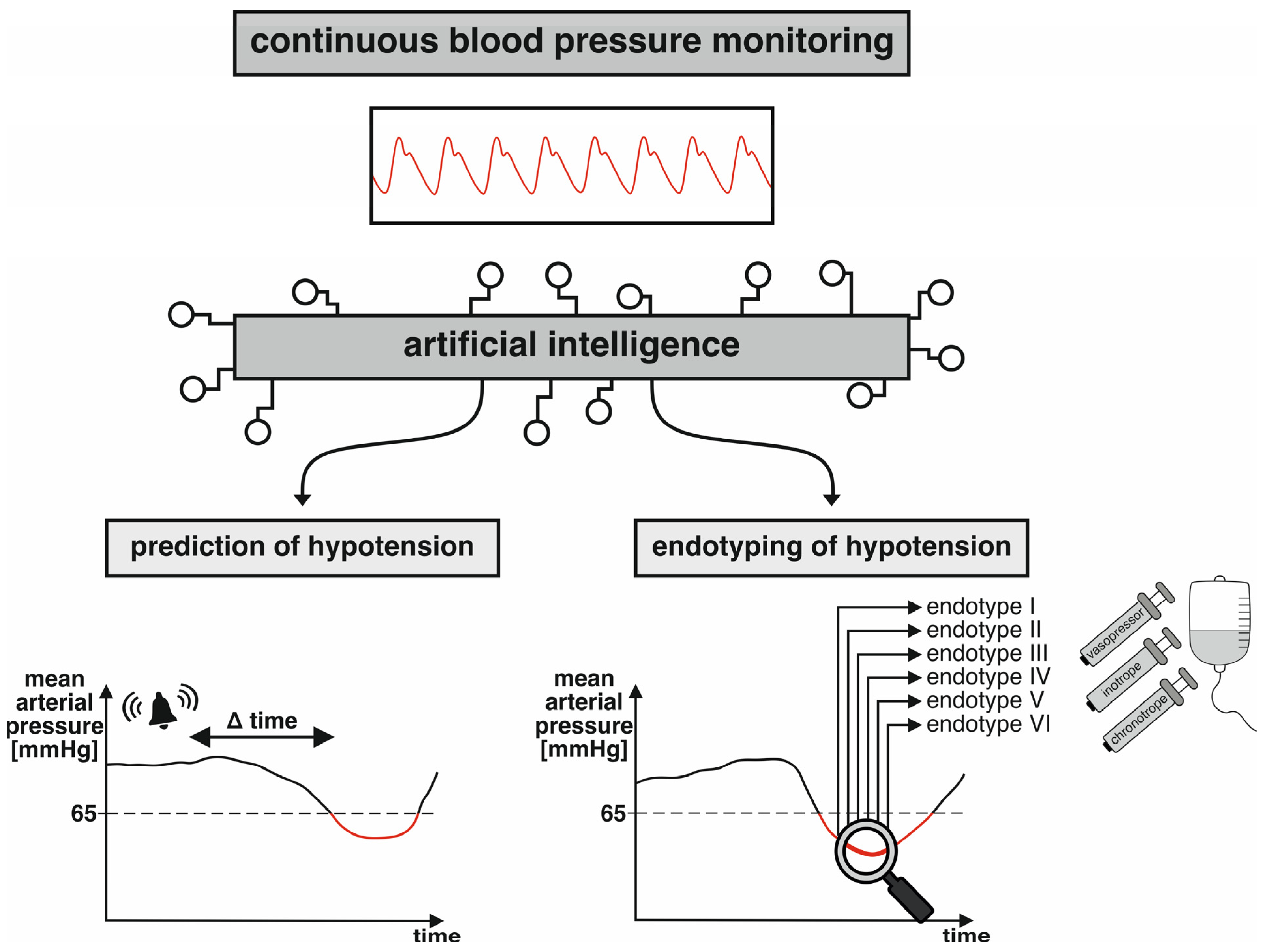 Life Source Bariatric Blood Pressure Monitor - A & D Engineering