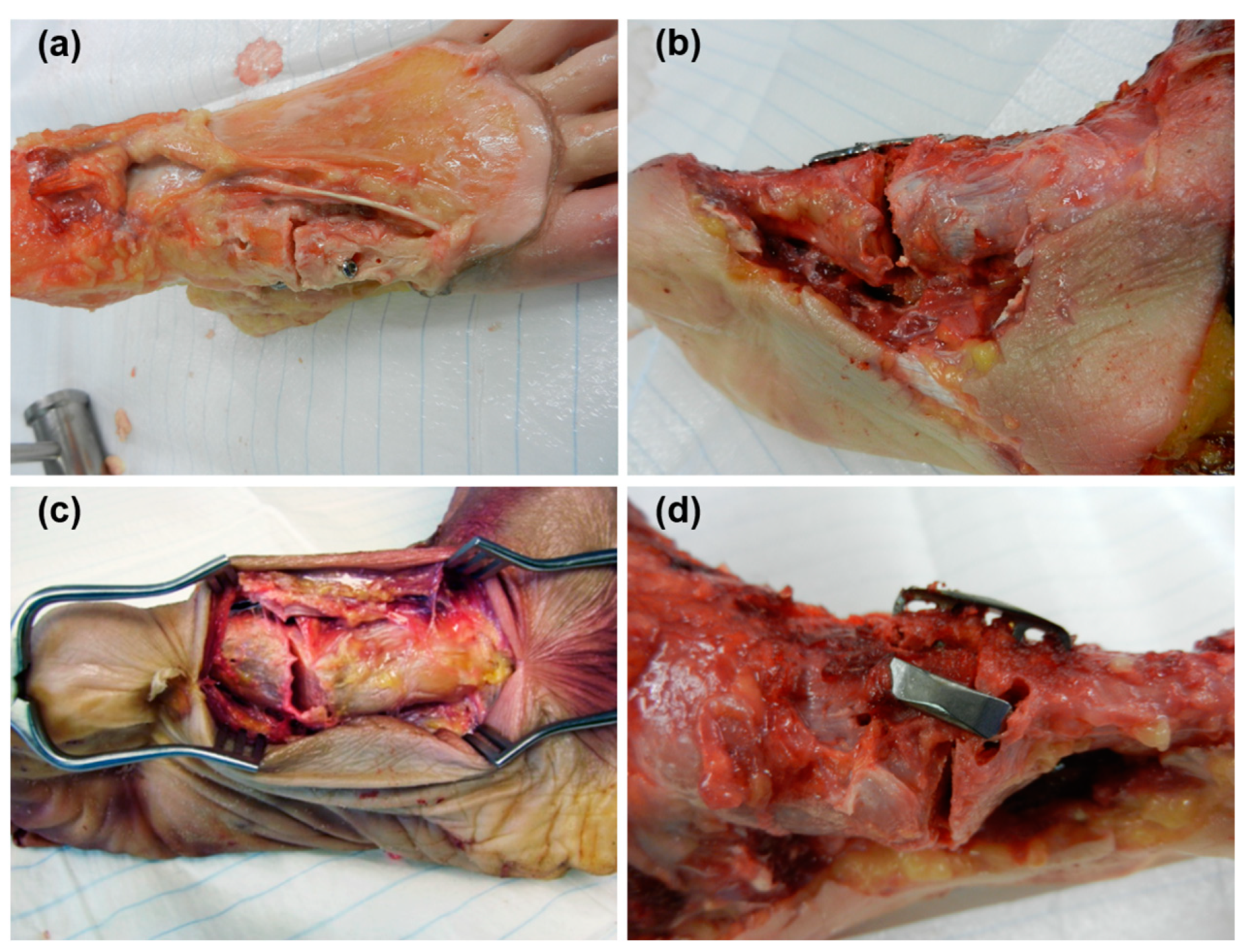 Medicina 59 01310 g004