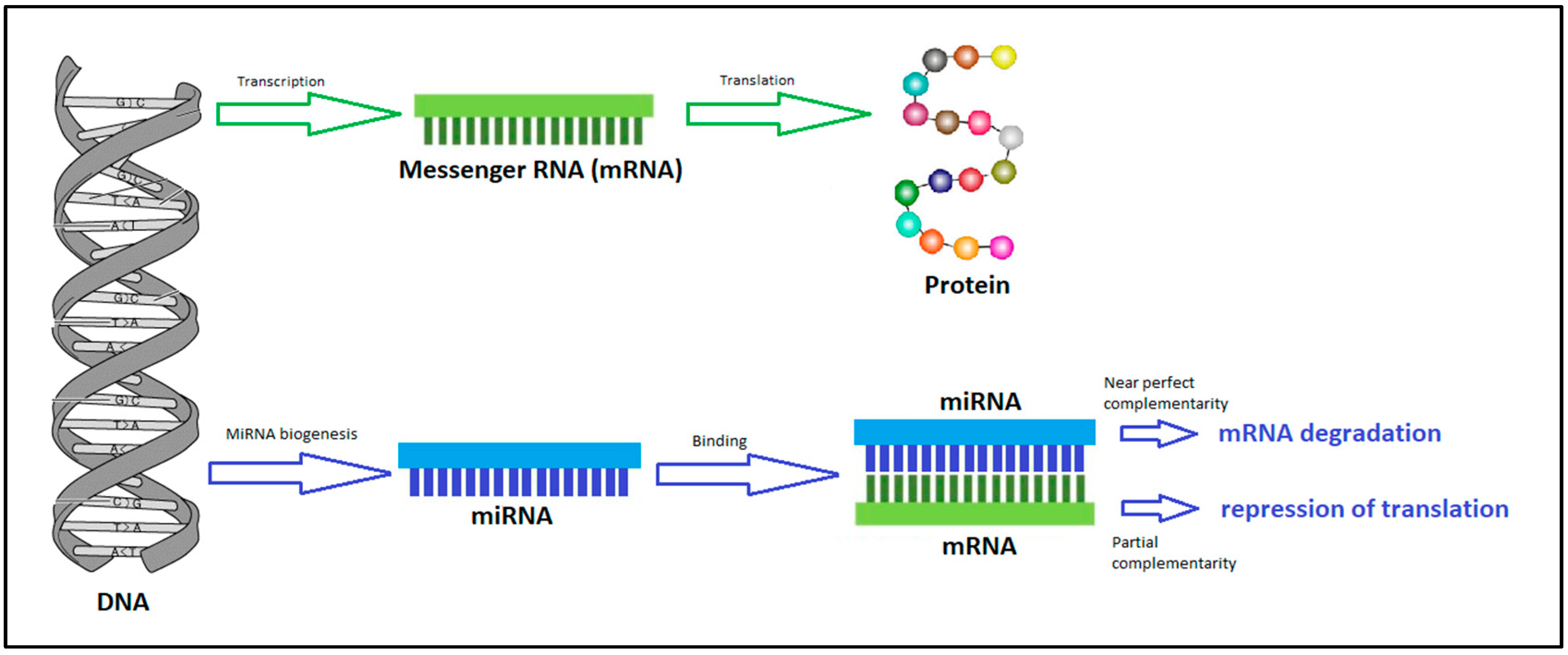 Medicina 59 01329 g001