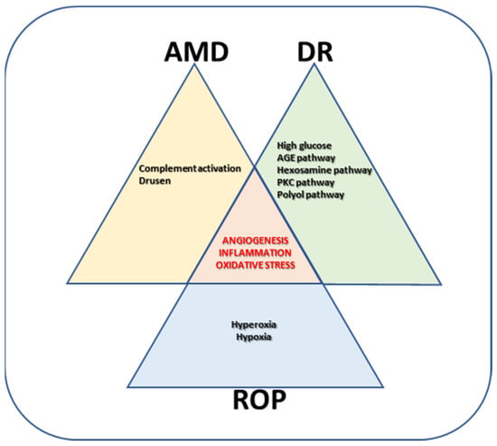 Medicina | Free Full-Text | Pharmacotherapy and Nutritional