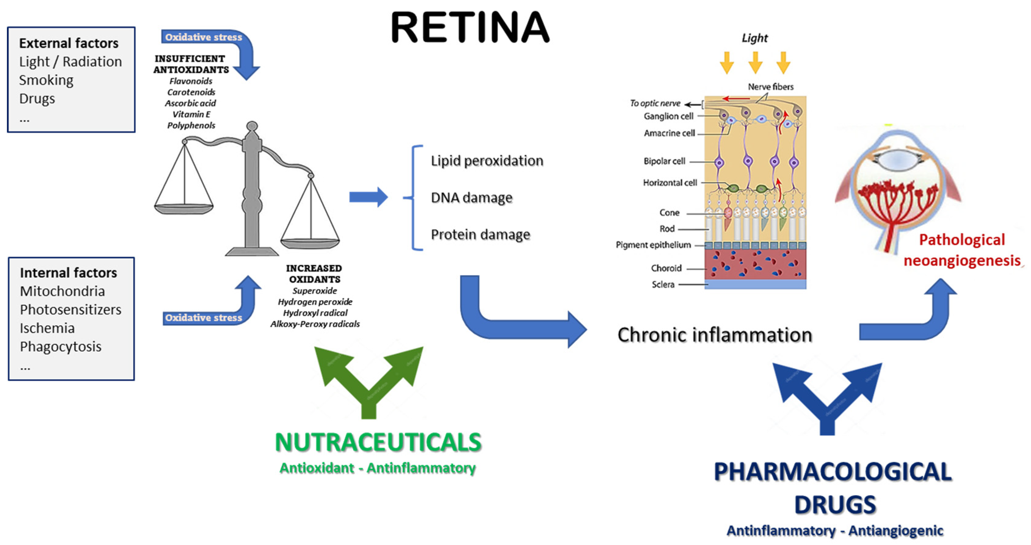 Medicina 59 01334 g003