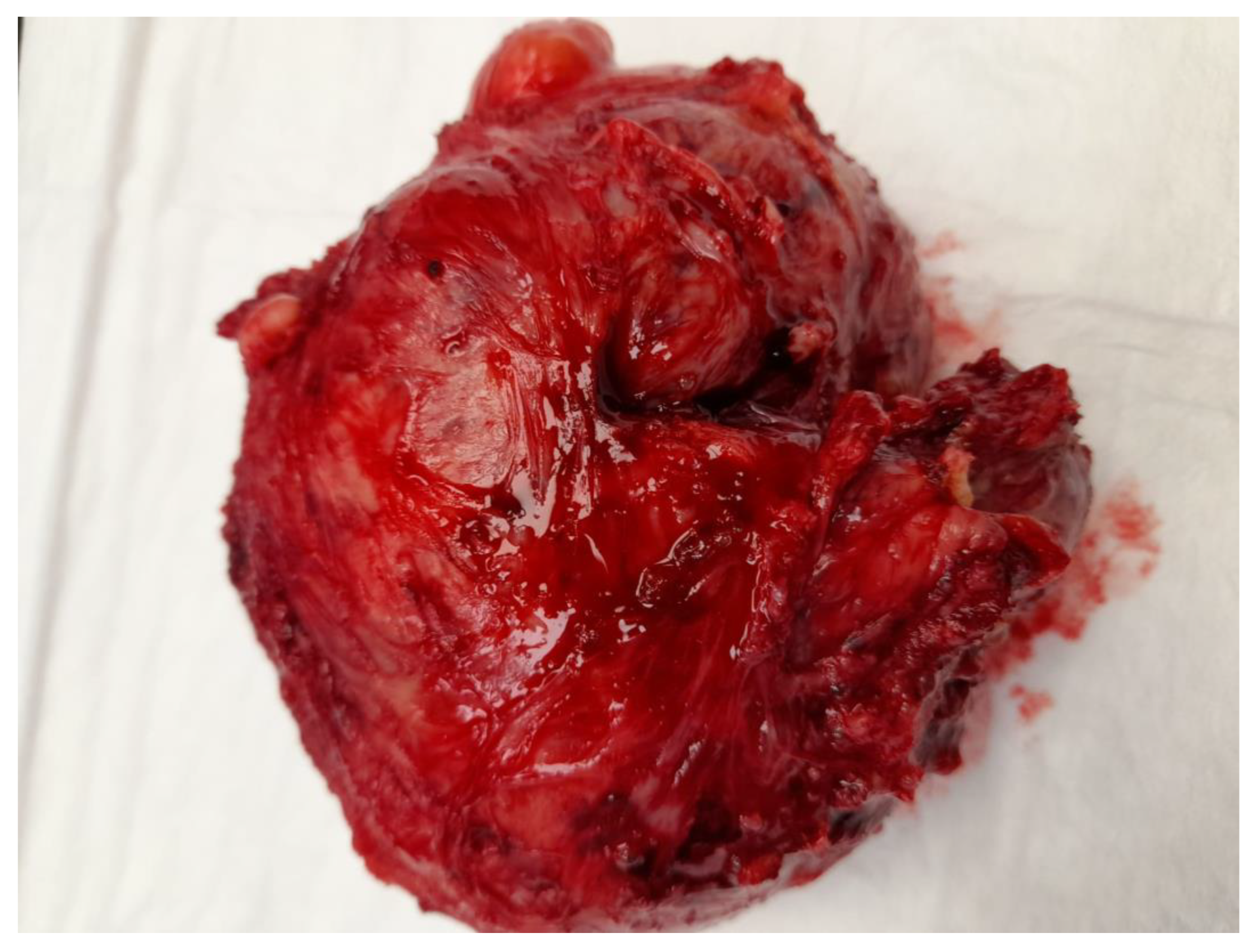 Medicina 59 01371 g001 Medicina 59 01371 g001