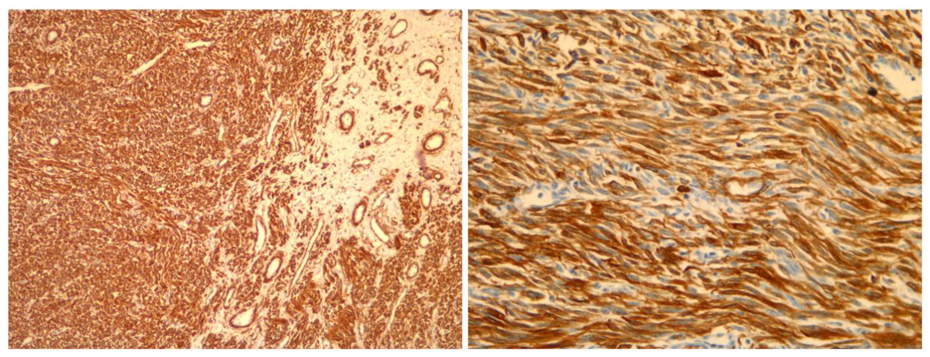 Medicina 59 01371 g005 Medicina 59 01371 g005