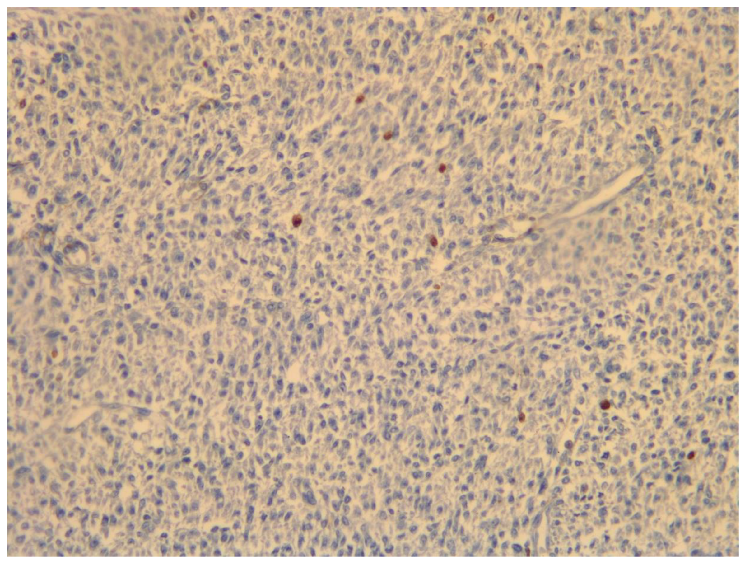 Medicina 59 01371 g006 Medicina 59 01371 g006