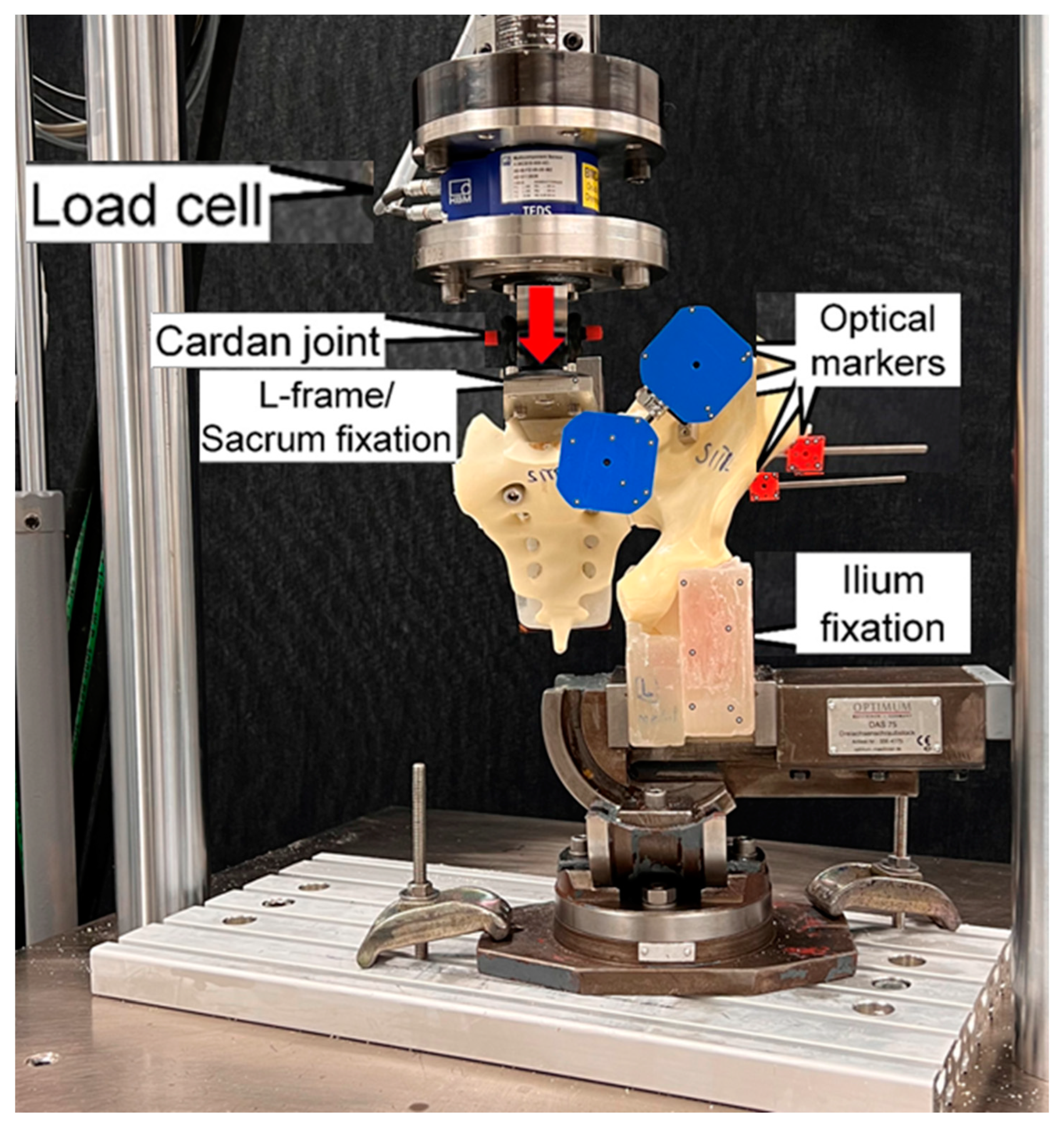 Medicina 59 01379 g002 Medicina 59 01379 g002