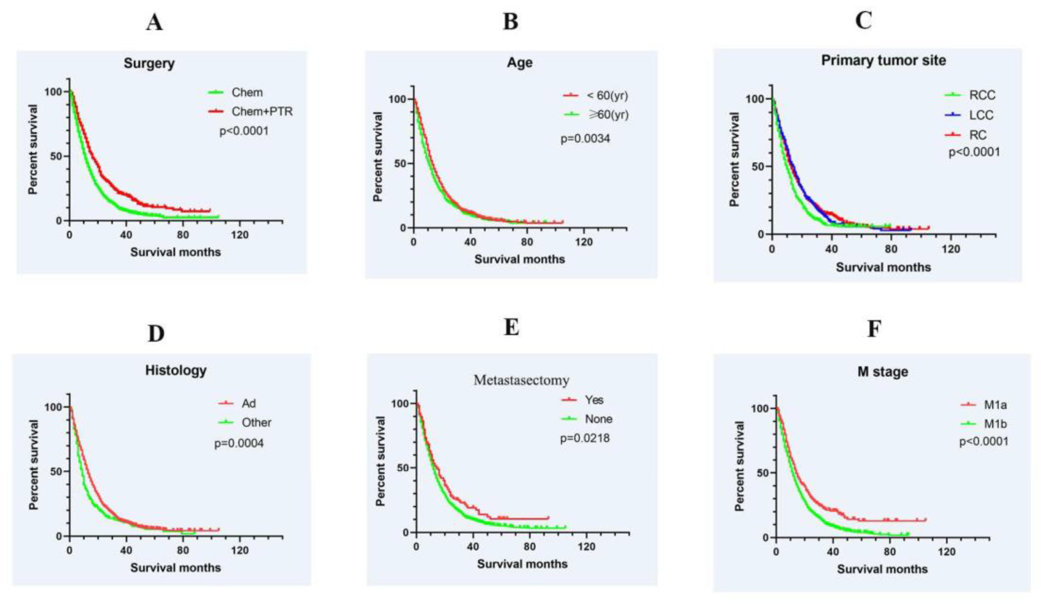 Medicina 59 01384 g002 Medicina 59 01384 g002