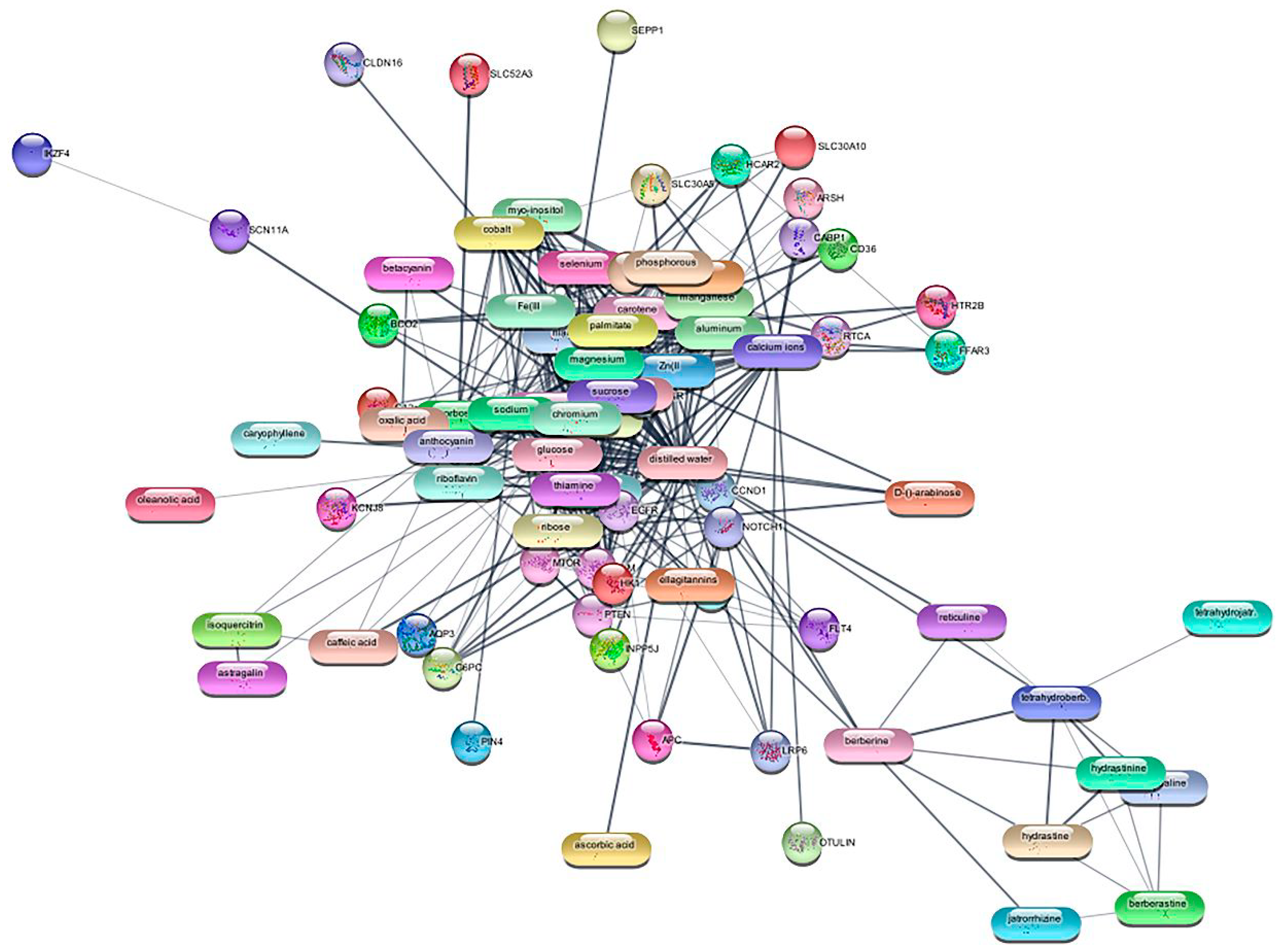 Medicina 59 01412 g002