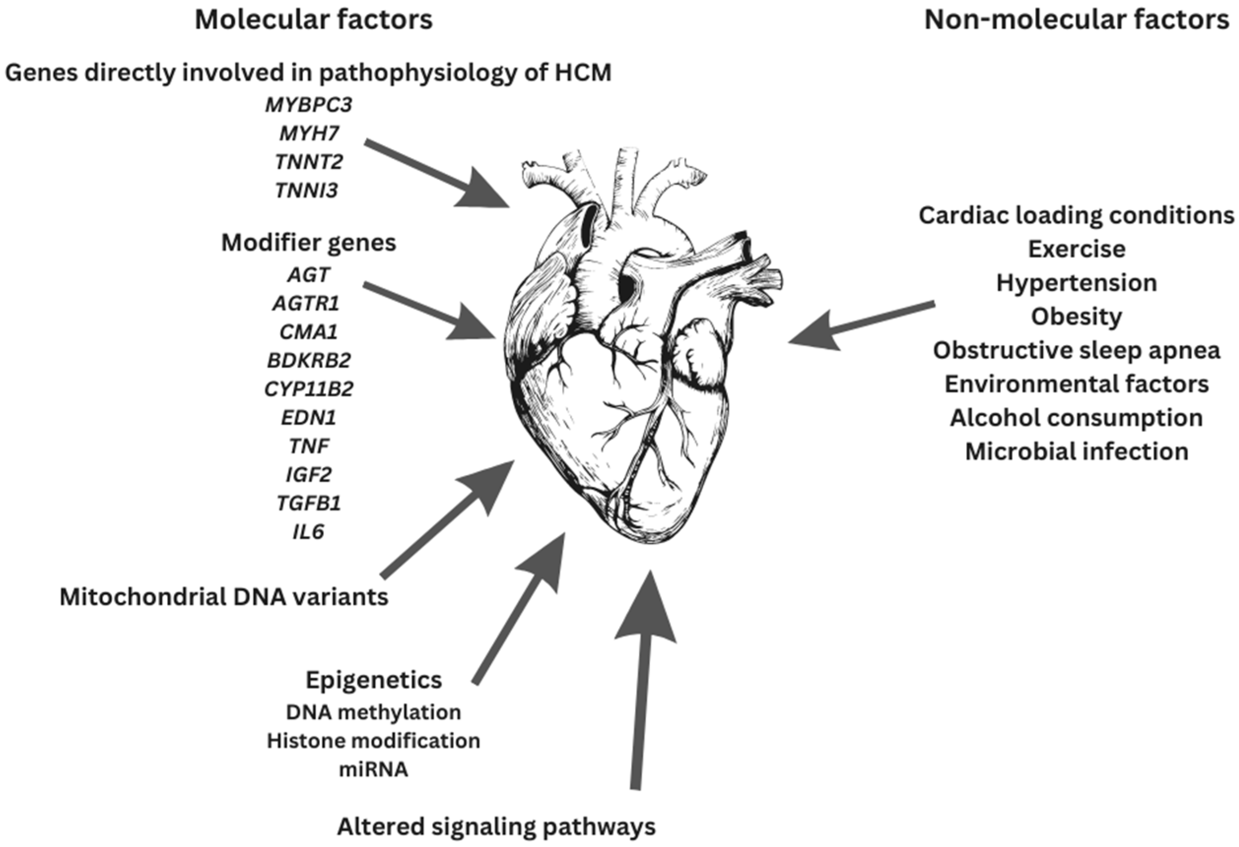 Medicina 59 01424 g002 Medicina 59 01424 g002