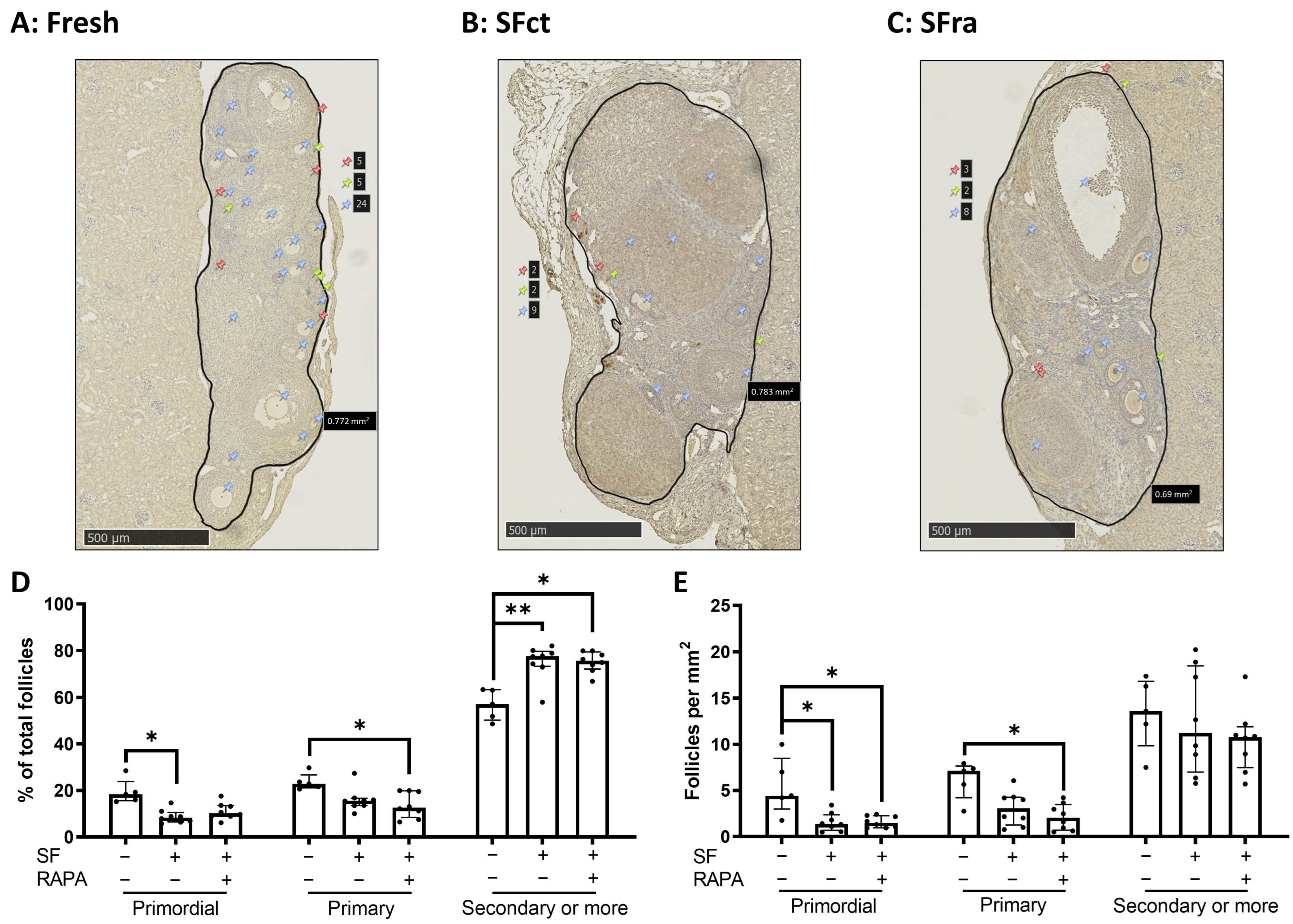 Medicina 59 01474 g002