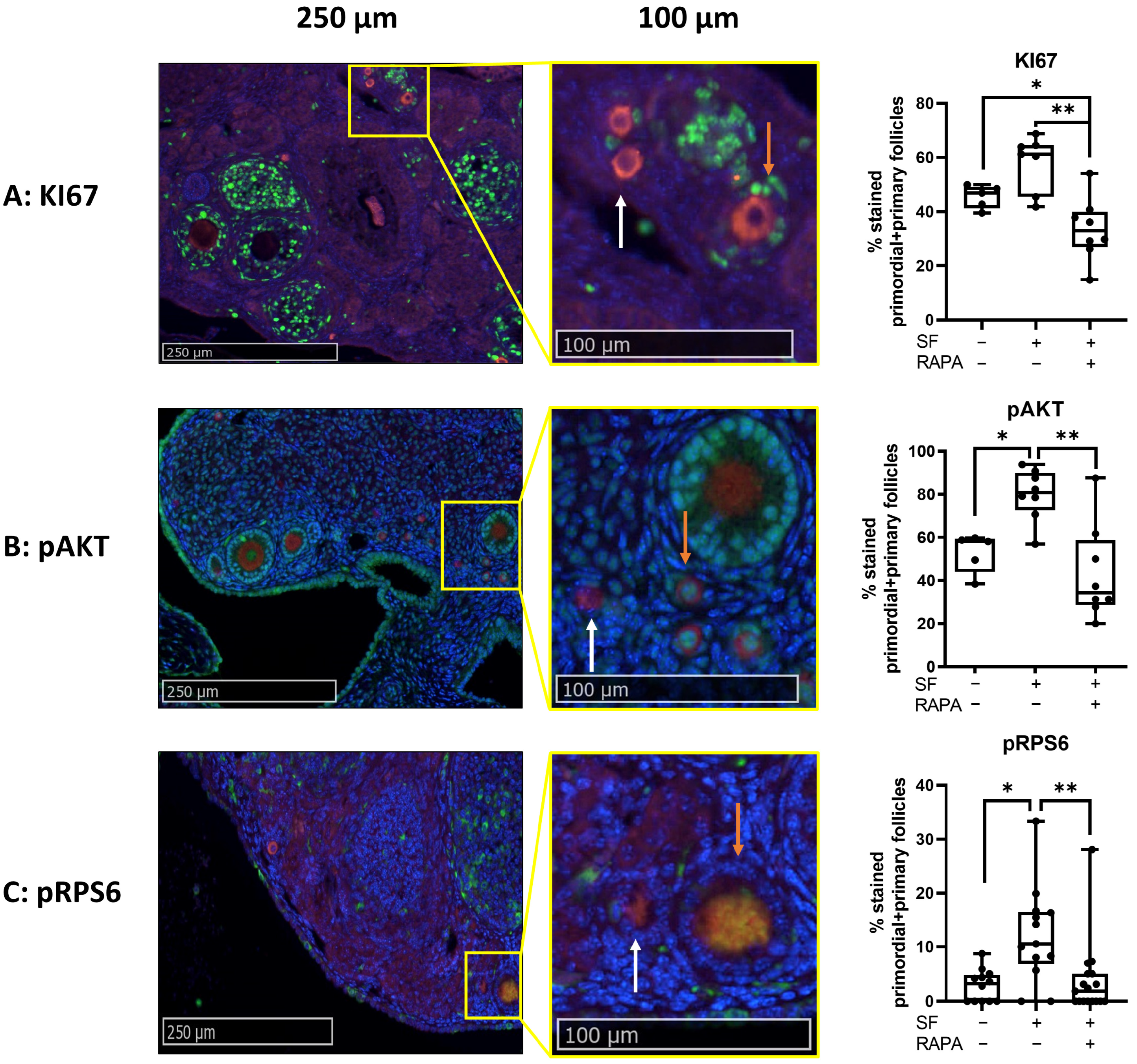 Medicina 59 01474 g003