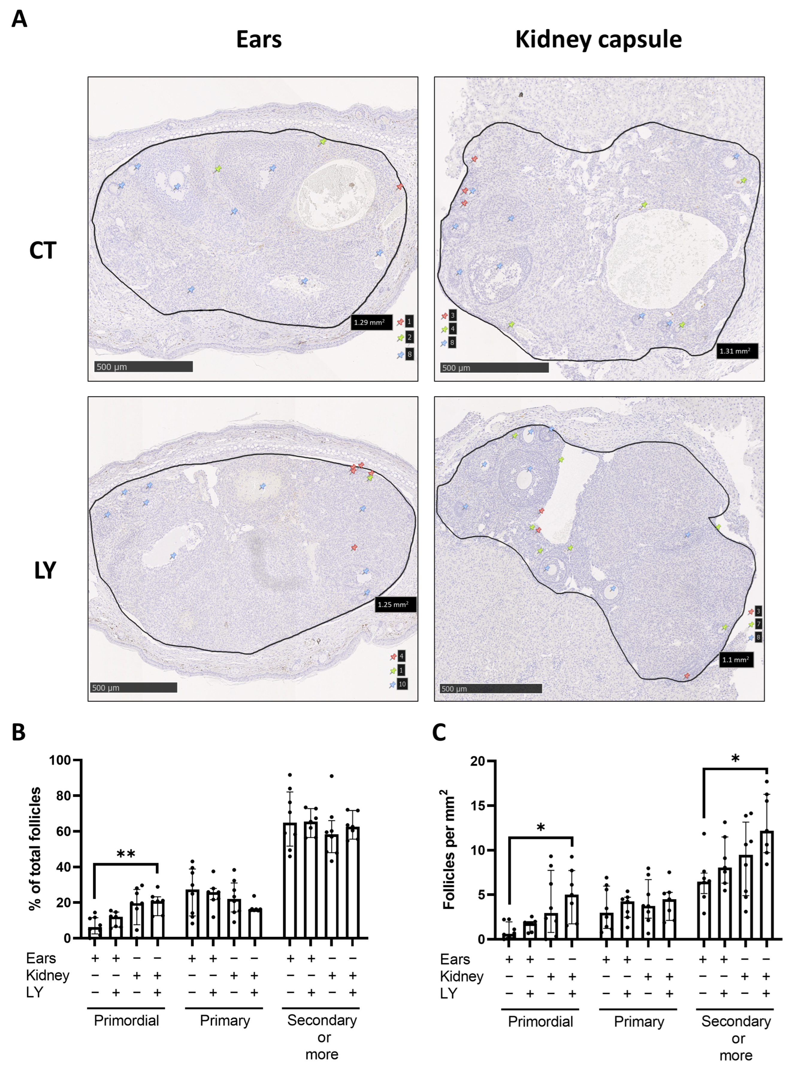 Medicina 59 01474 g008