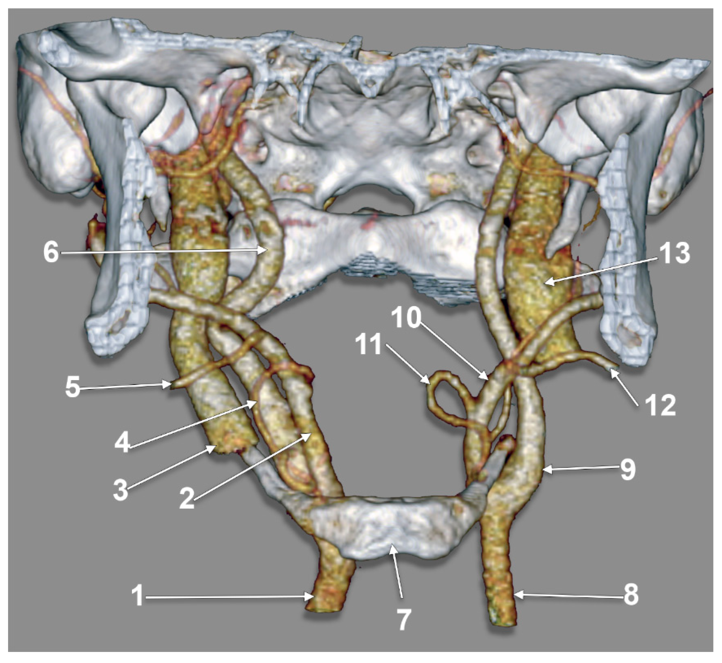 Medicina 59 01494 g004