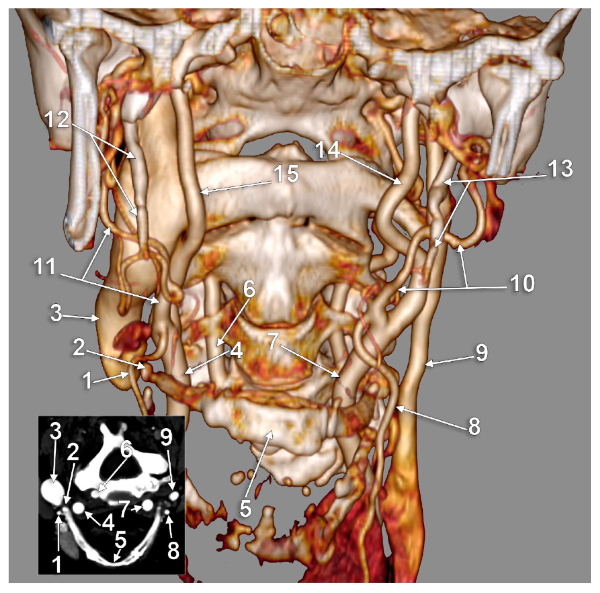Medicina 59 01494 g005