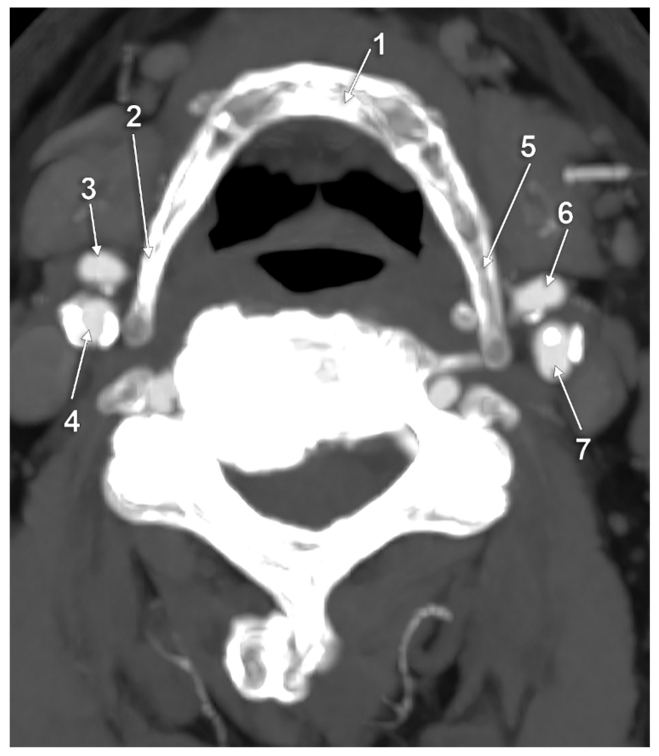 Medicina 59 01494 g008