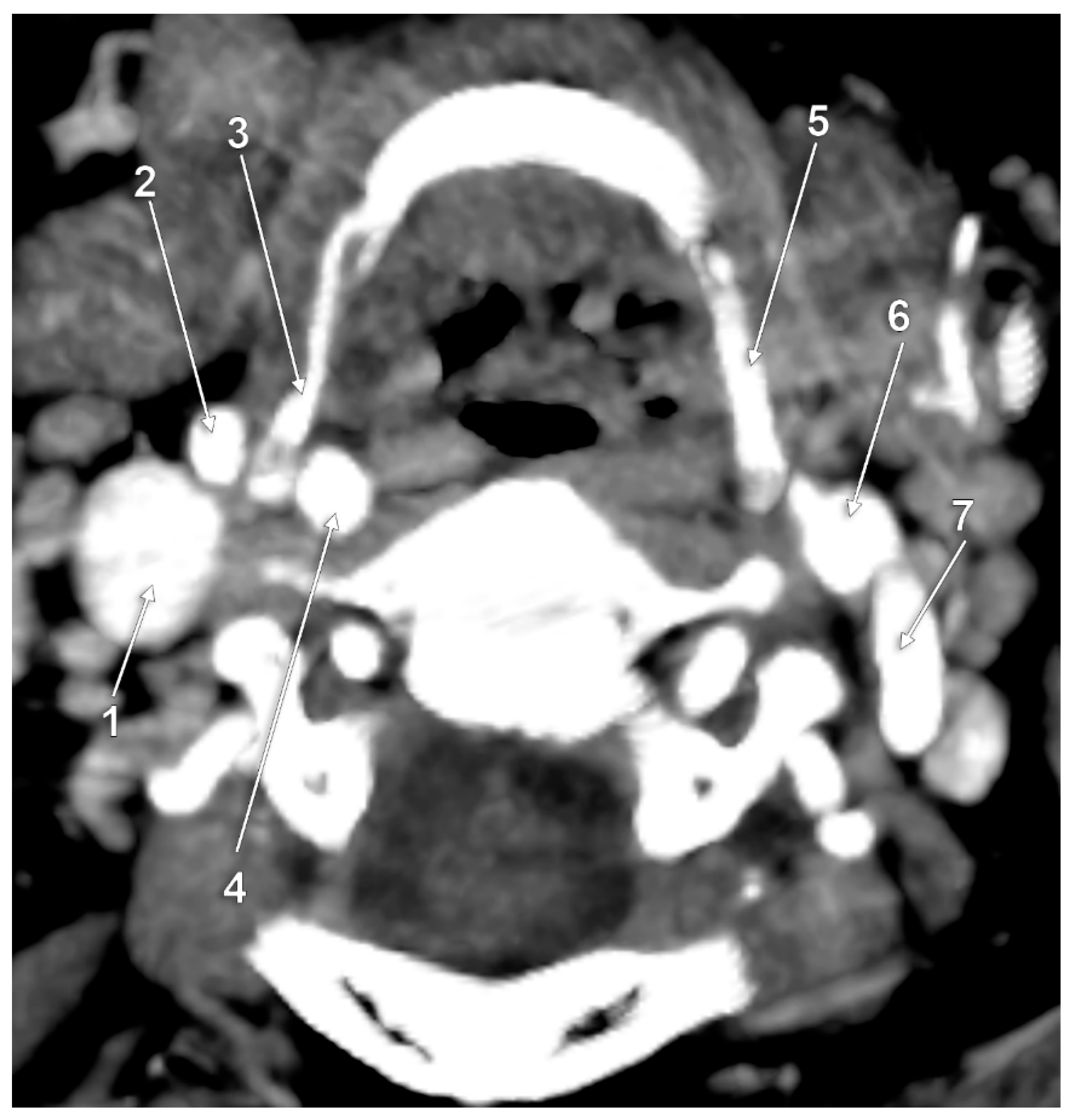 Medicina 59 01494 g011