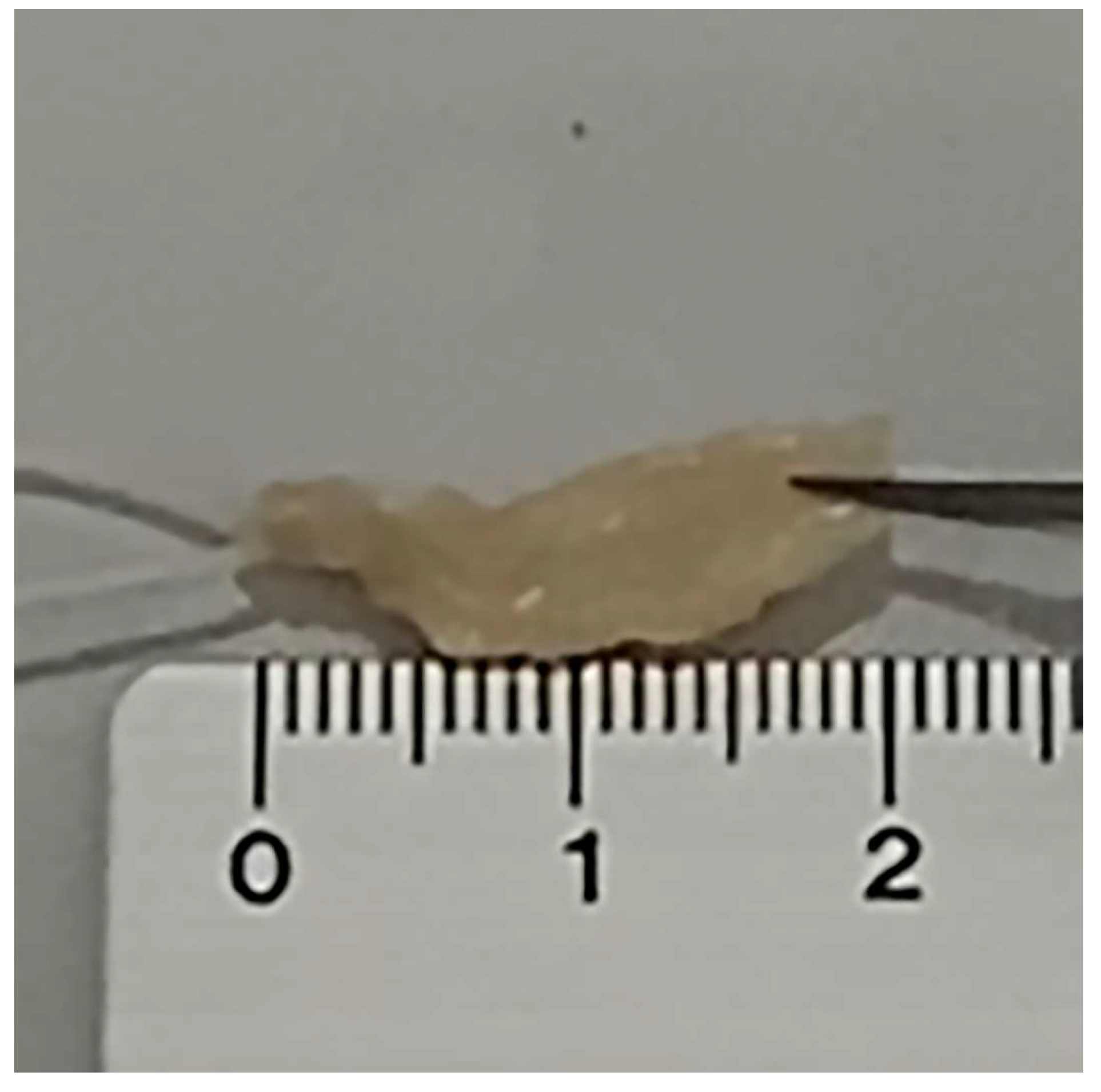 Medicina 59 01510 g001