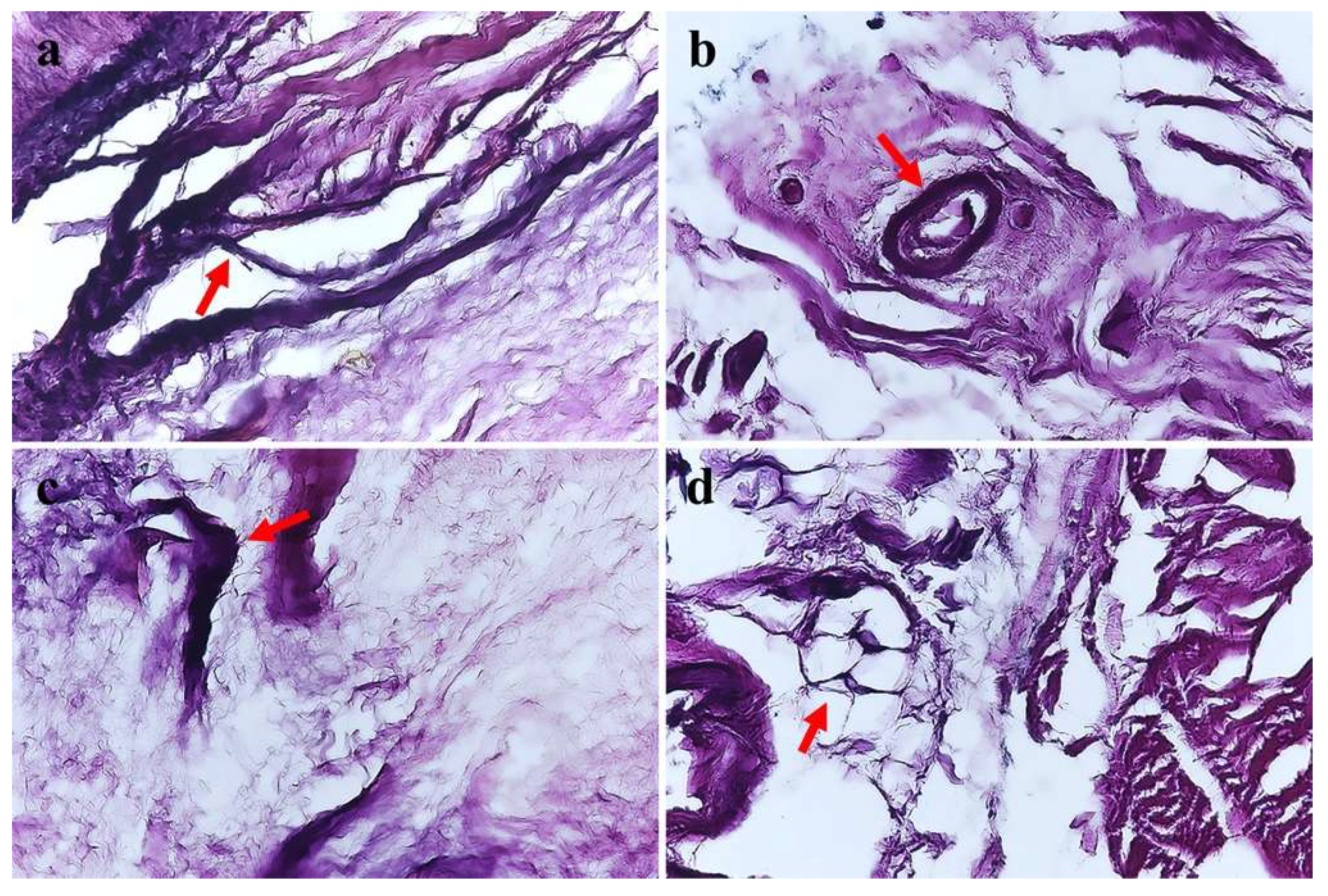 Medicina 59 01510 g002
