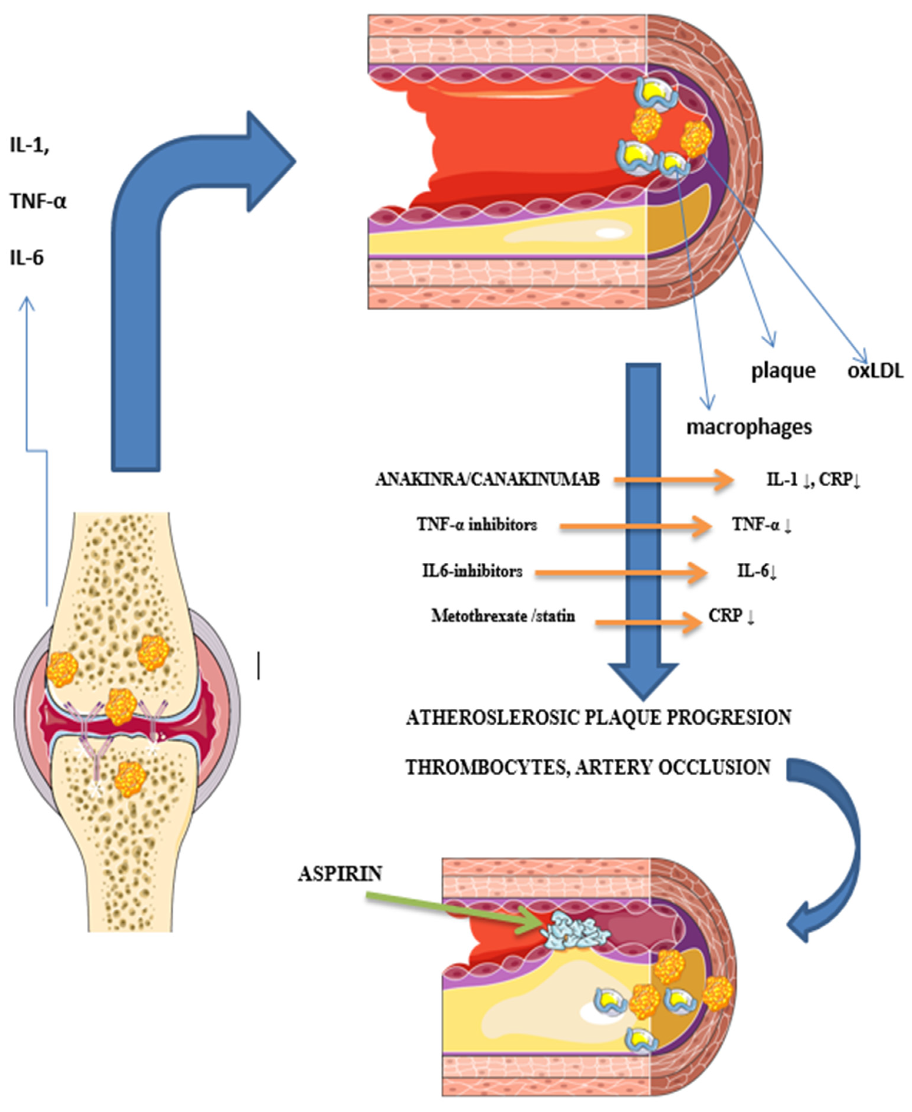 Medicina 59 01550 g002