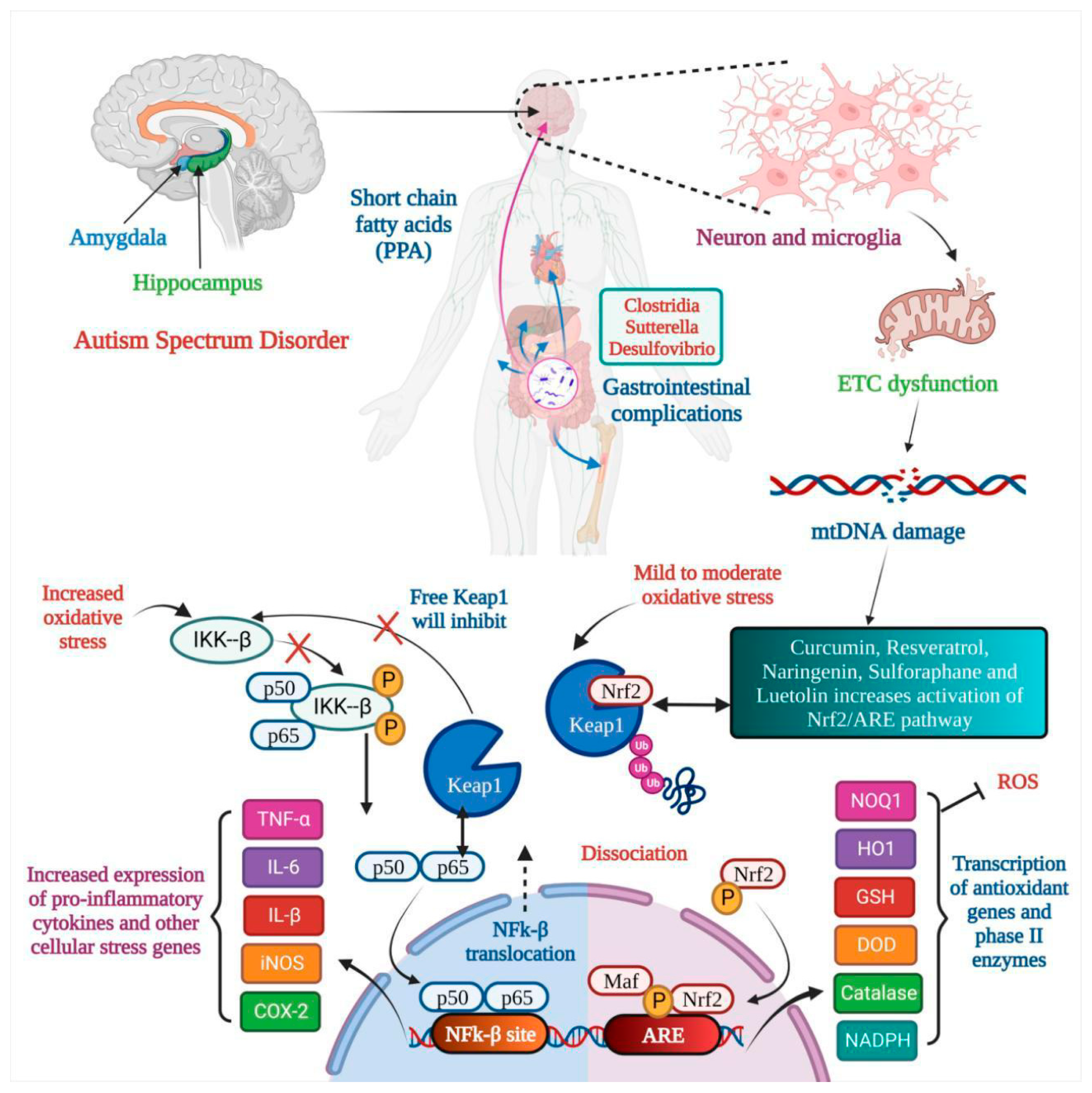 Medicina 59 01584 g001 Medicina 59 01584 g001