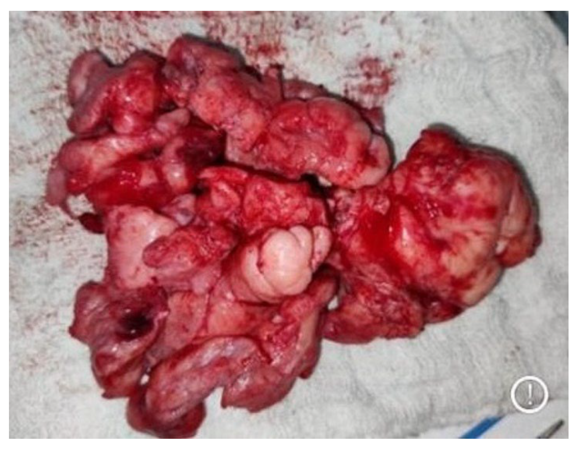 Medicina 59 01620 g003