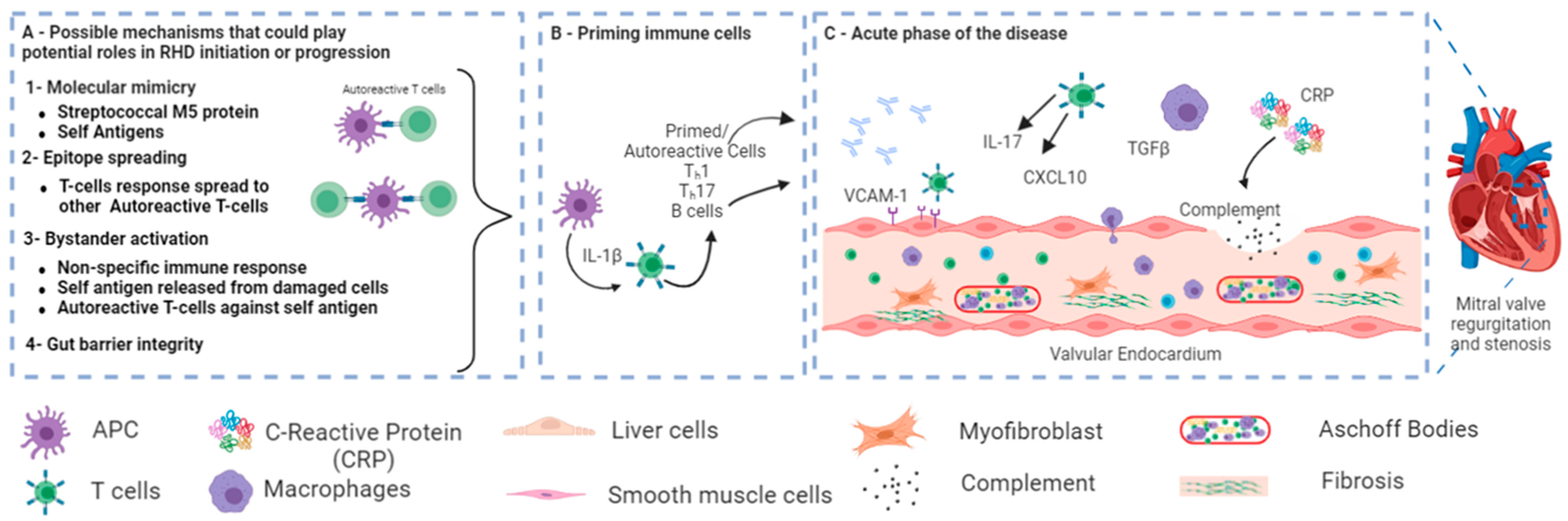 Medicina 59 01629 g003