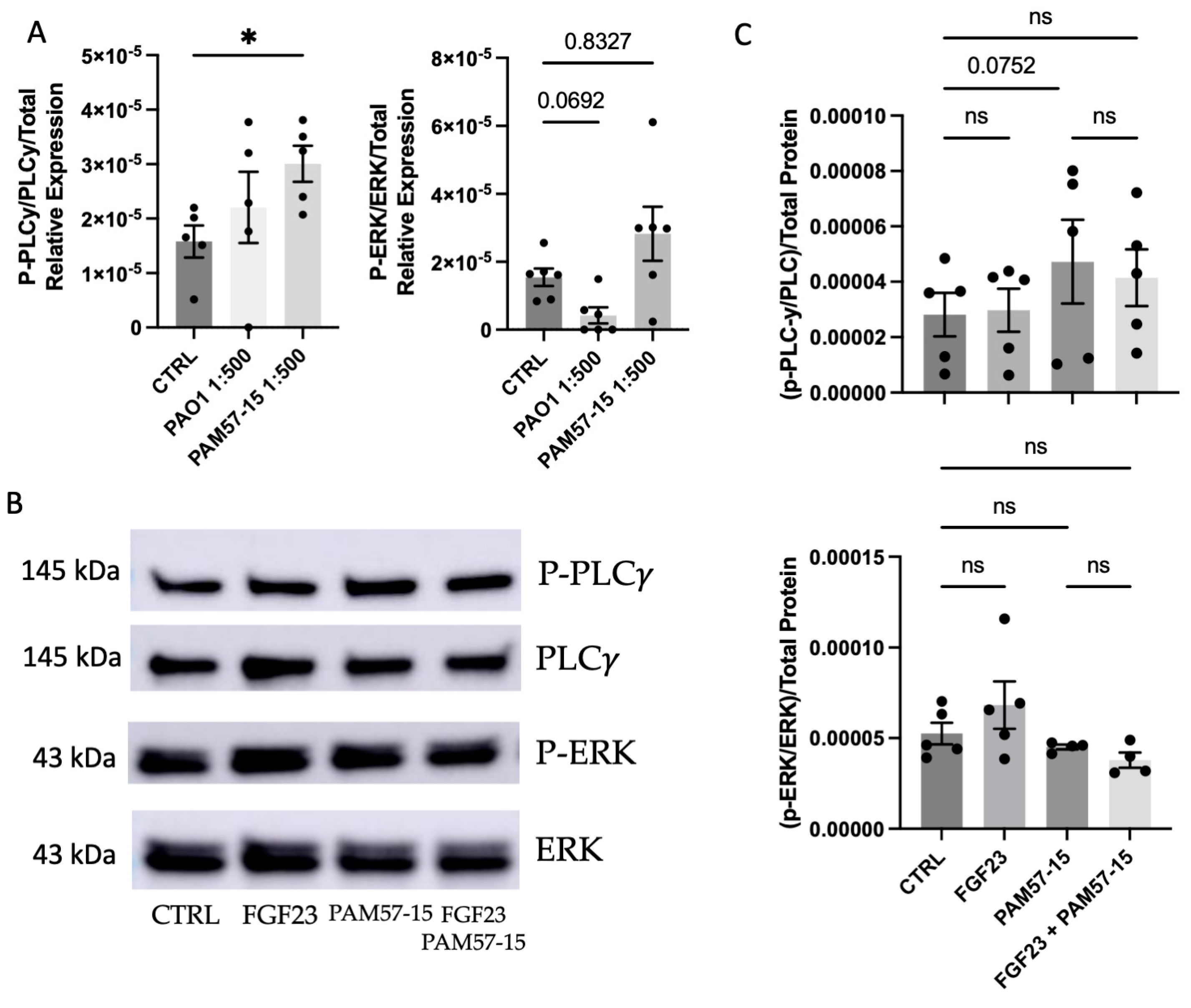 Medicina 59 01635 g003