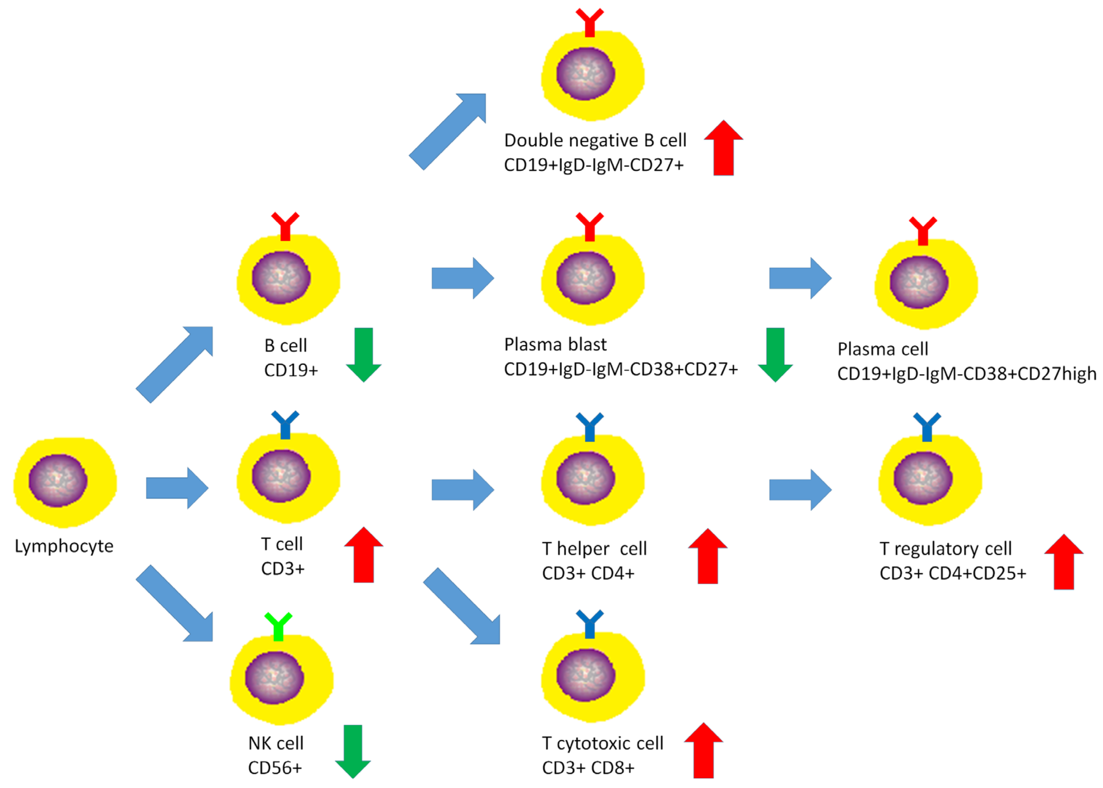 Medicina 59 01688 g010