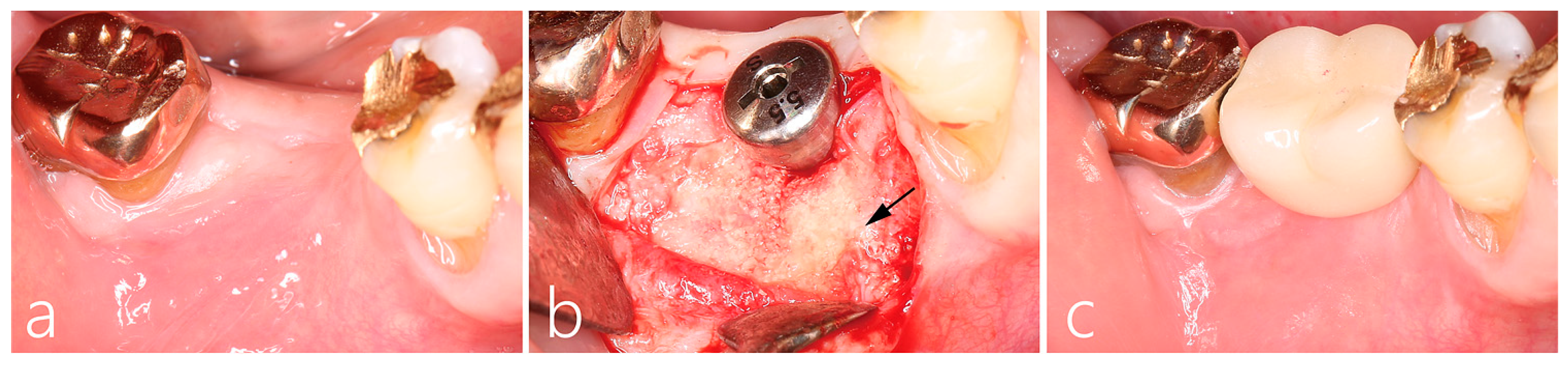 Medicina 59 01691 g002