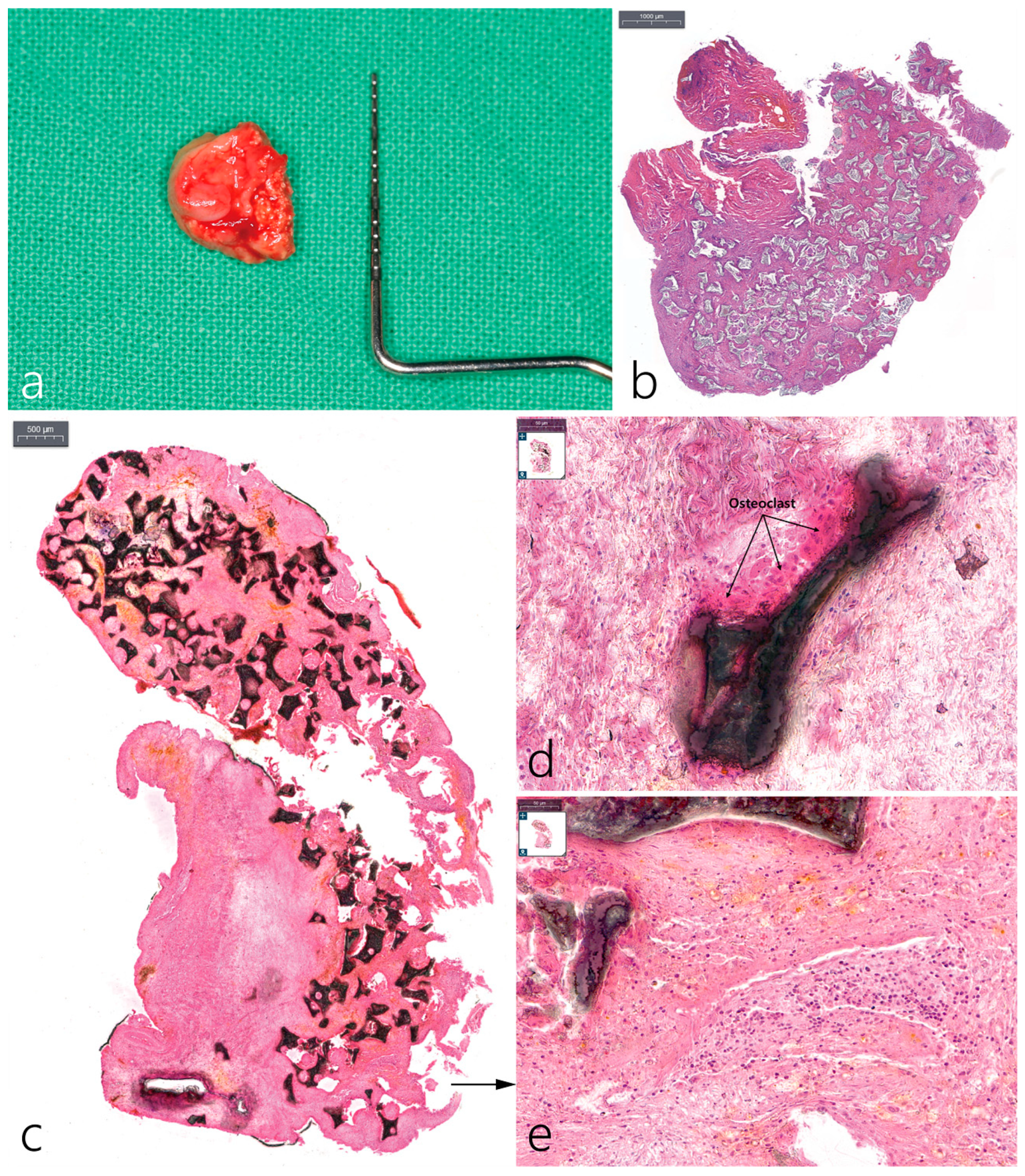 Medicina 59 01691 g004