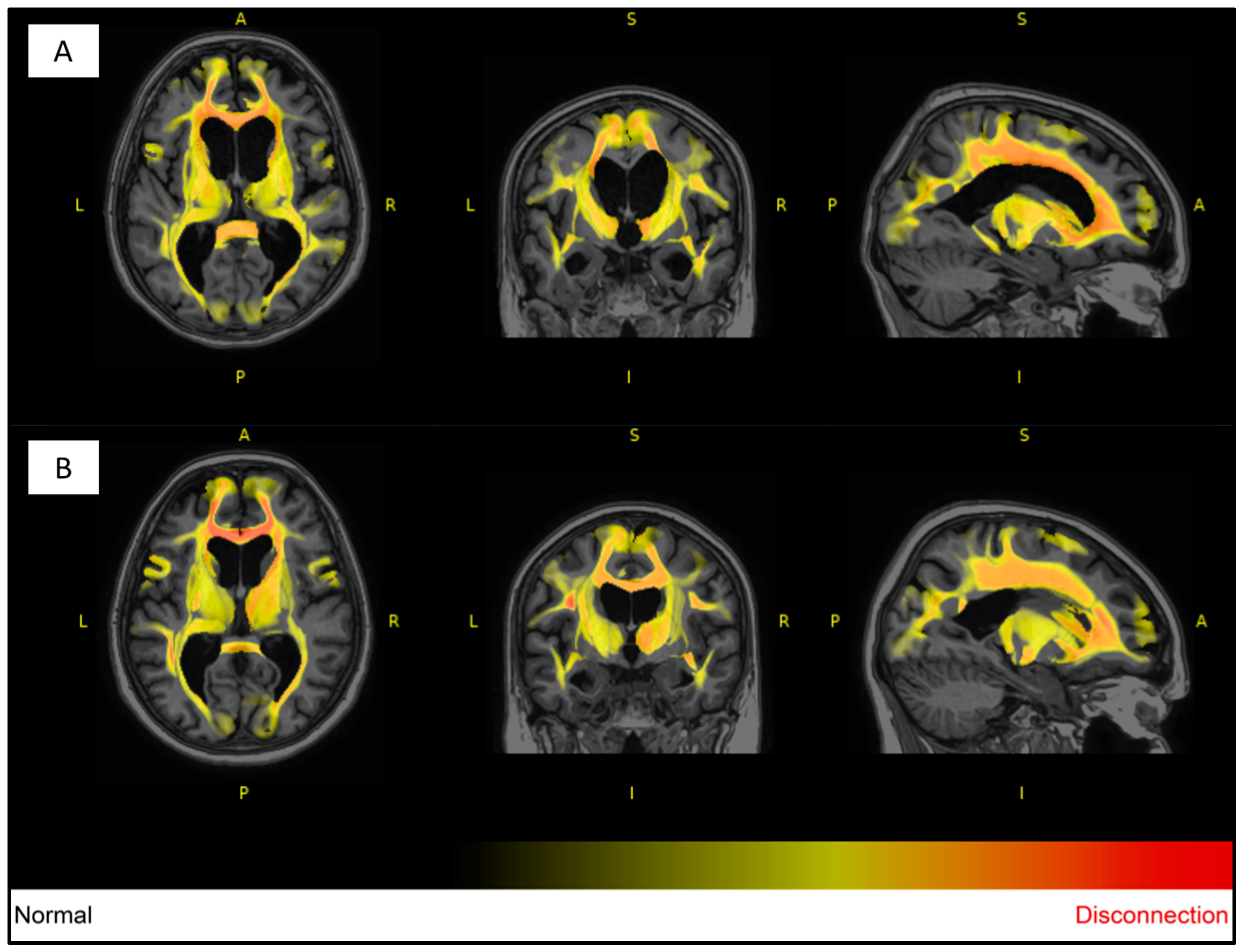 Medicina 59 01696 g003 Medicina 59 01696 g003
