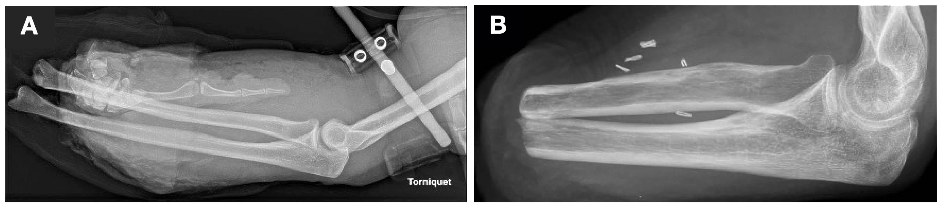 Medicina 59 01710 g001