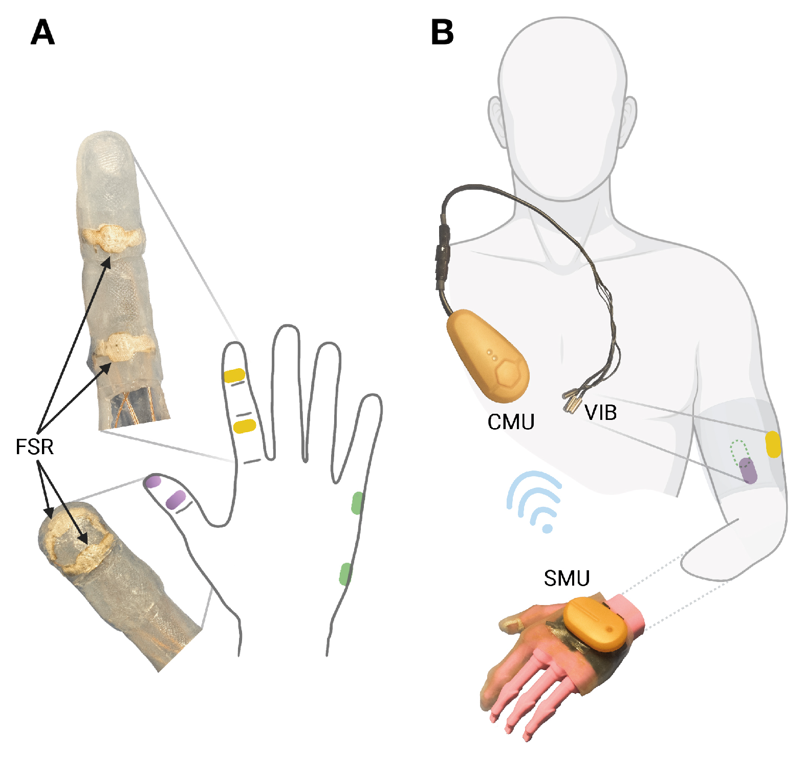 Medicina 59 01710 g003