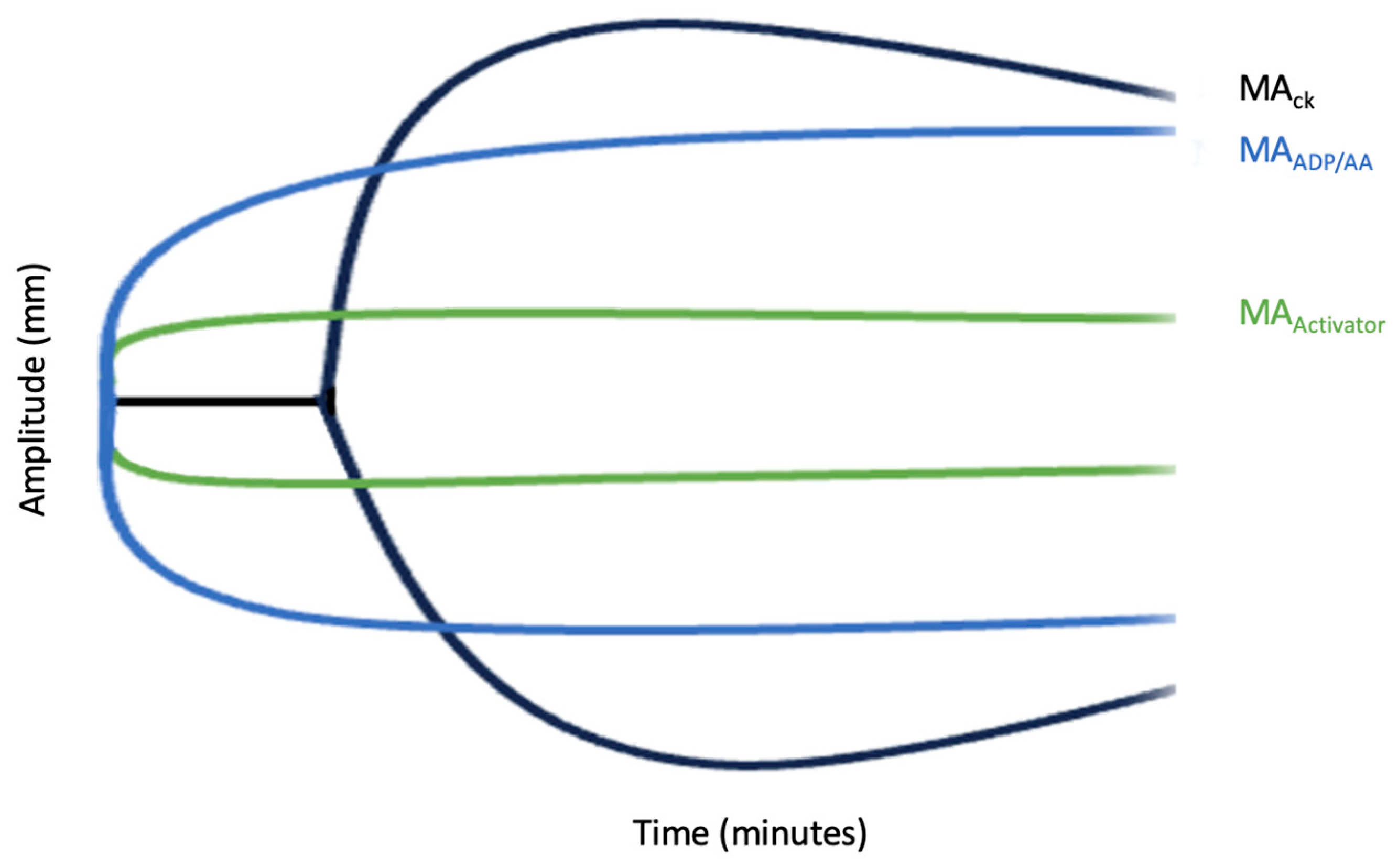 Medicina 59 01714 g004 Medicina 59 01714 g004