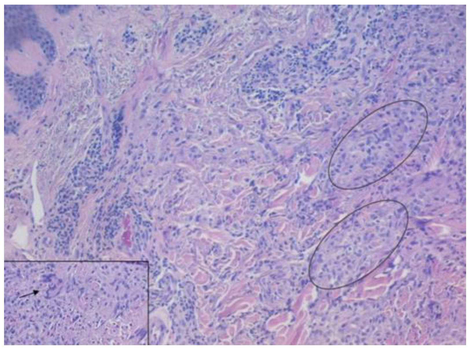 Medicina 59 01758 g002