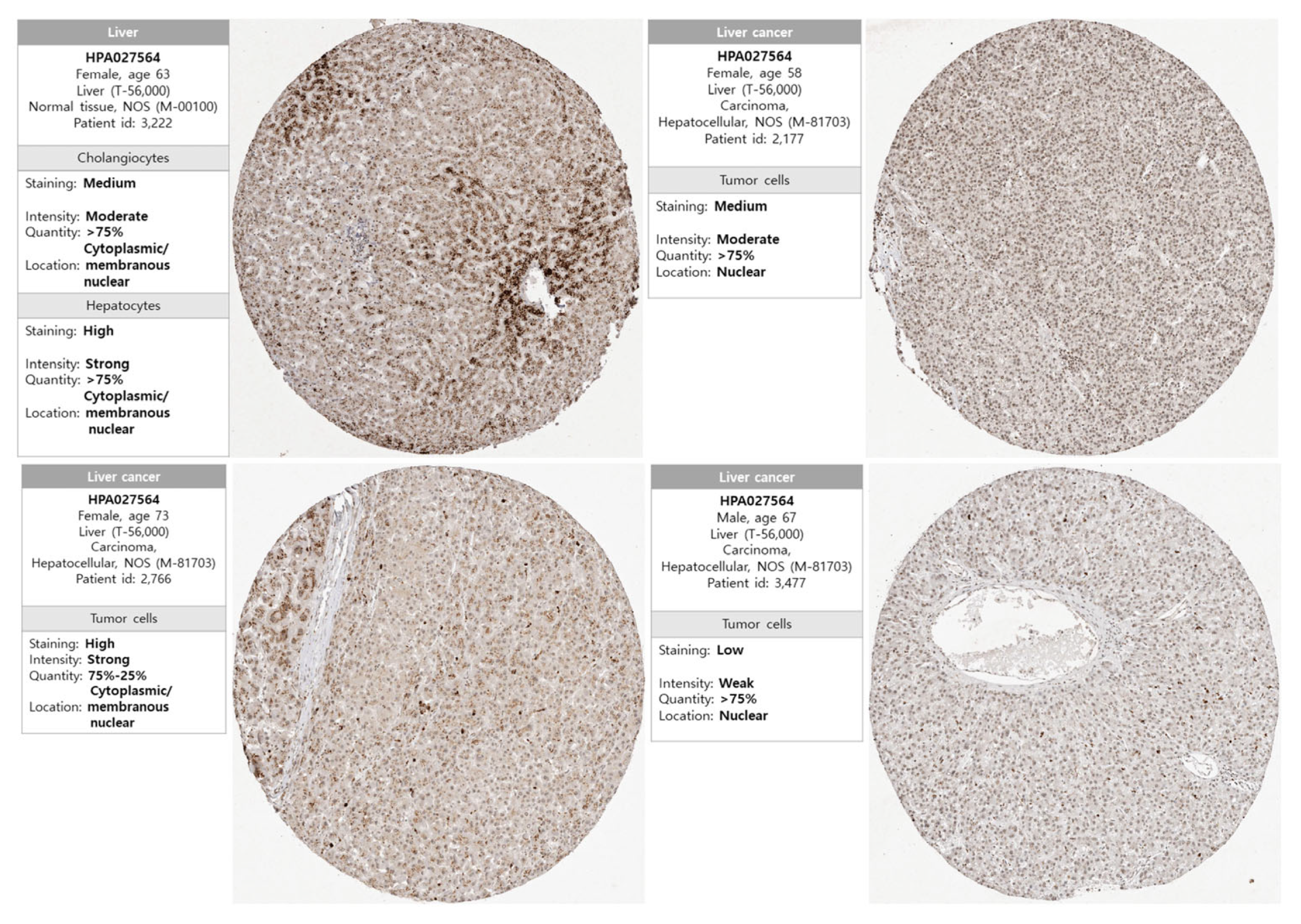 Medicina 59 01782 g002