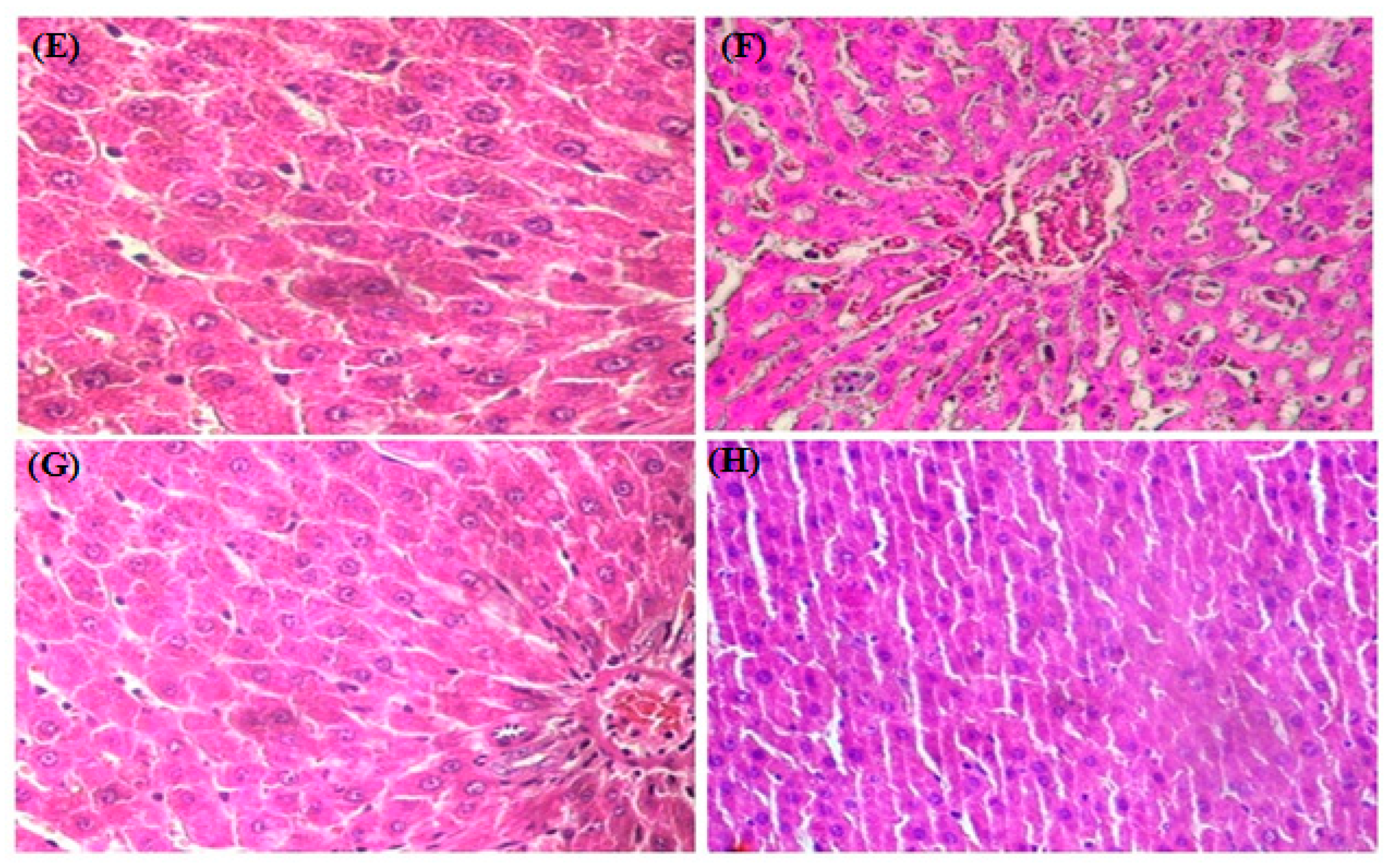 Medicina 59 01823 g005b