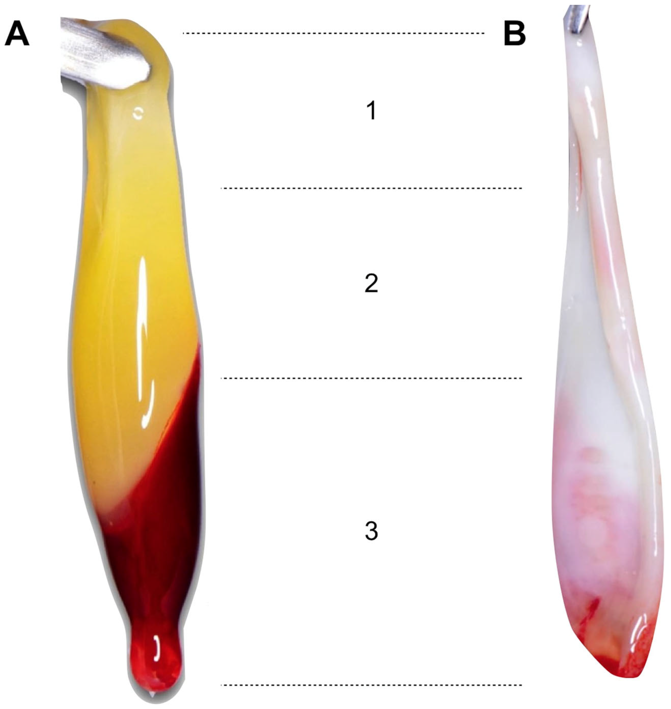 Medicina 59 01903 g003