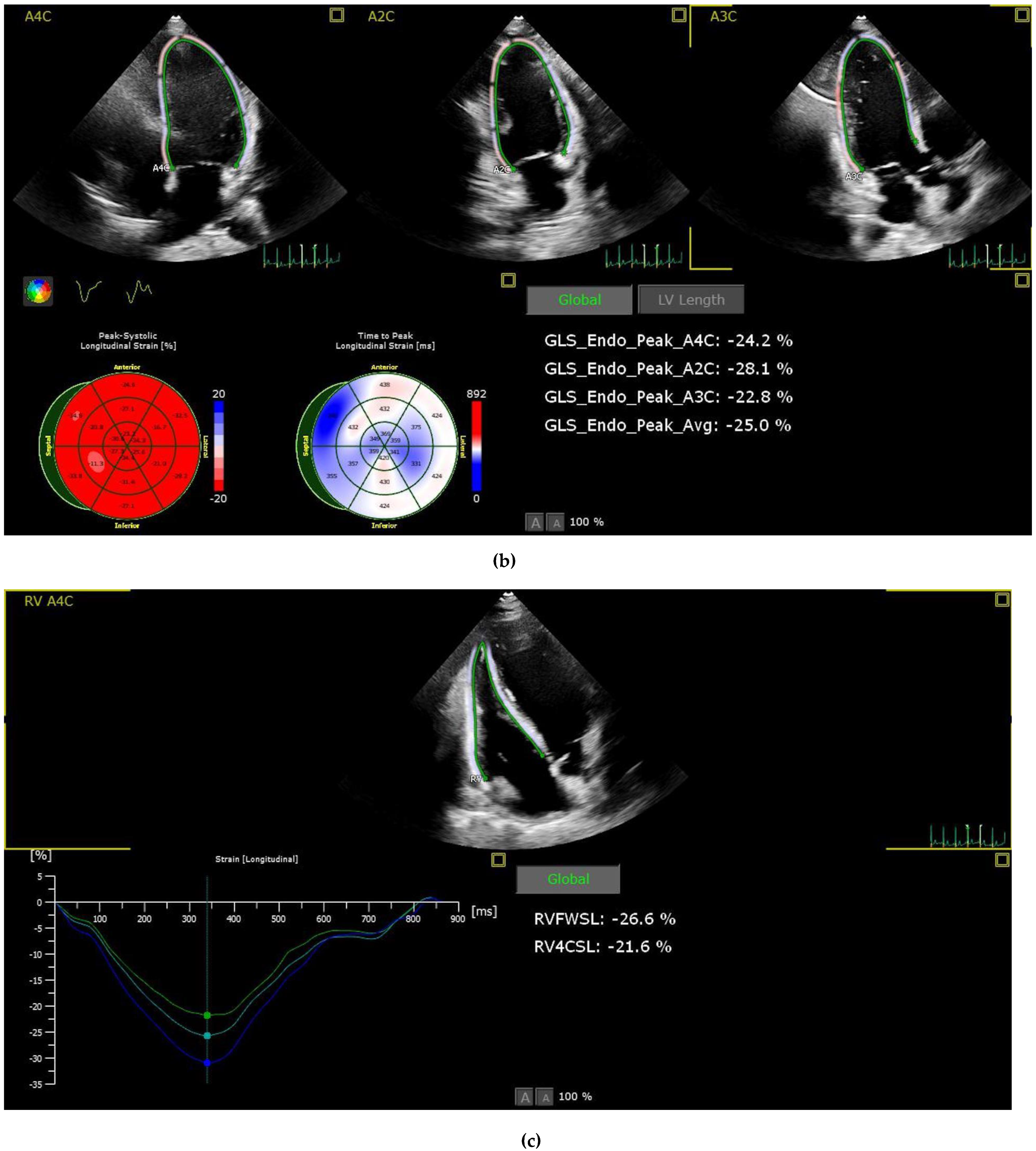 Medicina 59 01982 g001b Medicina 59 01982 g001b