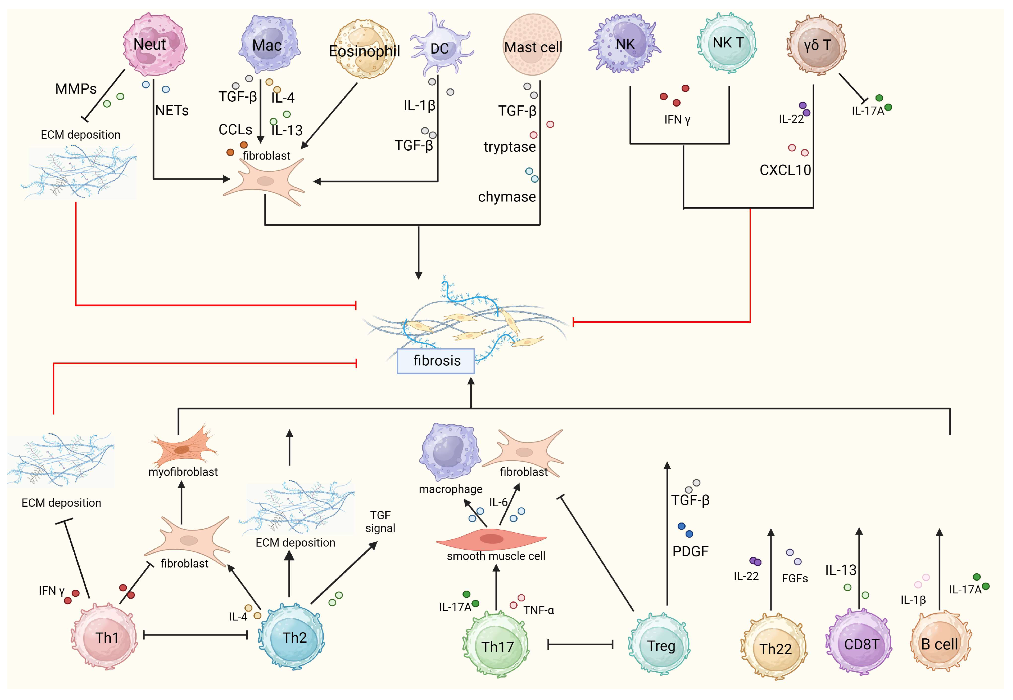 Medicina 59 01984 g002