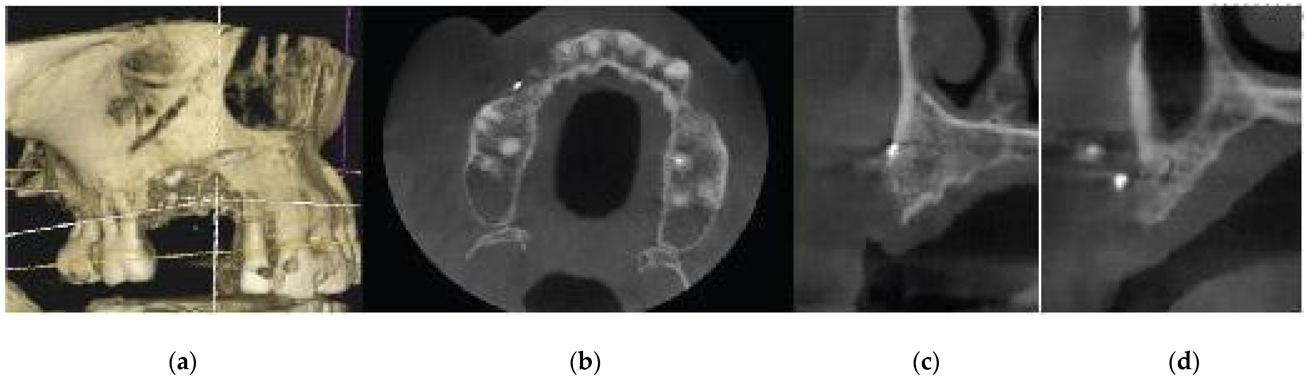 Medicina 59 01994 g001 Medicina 59 01994 g001