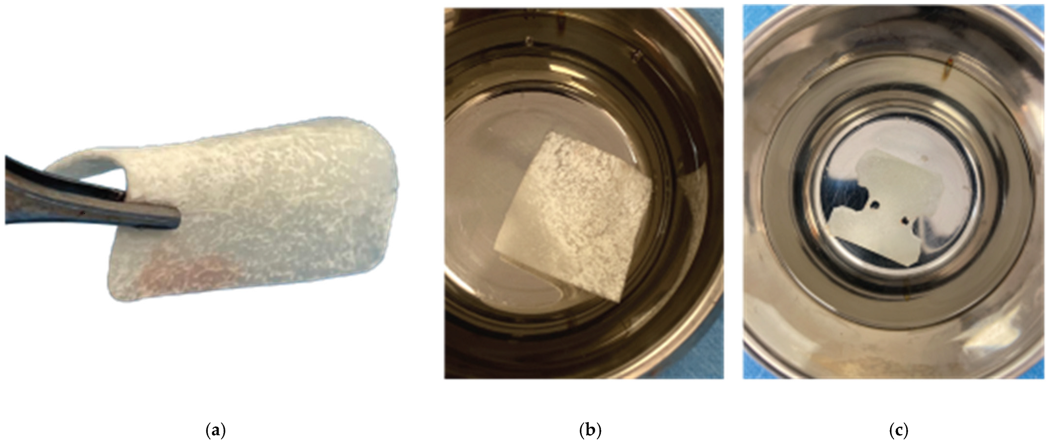 Medicina 59 01994 g007 Medicina 59 01994 g007