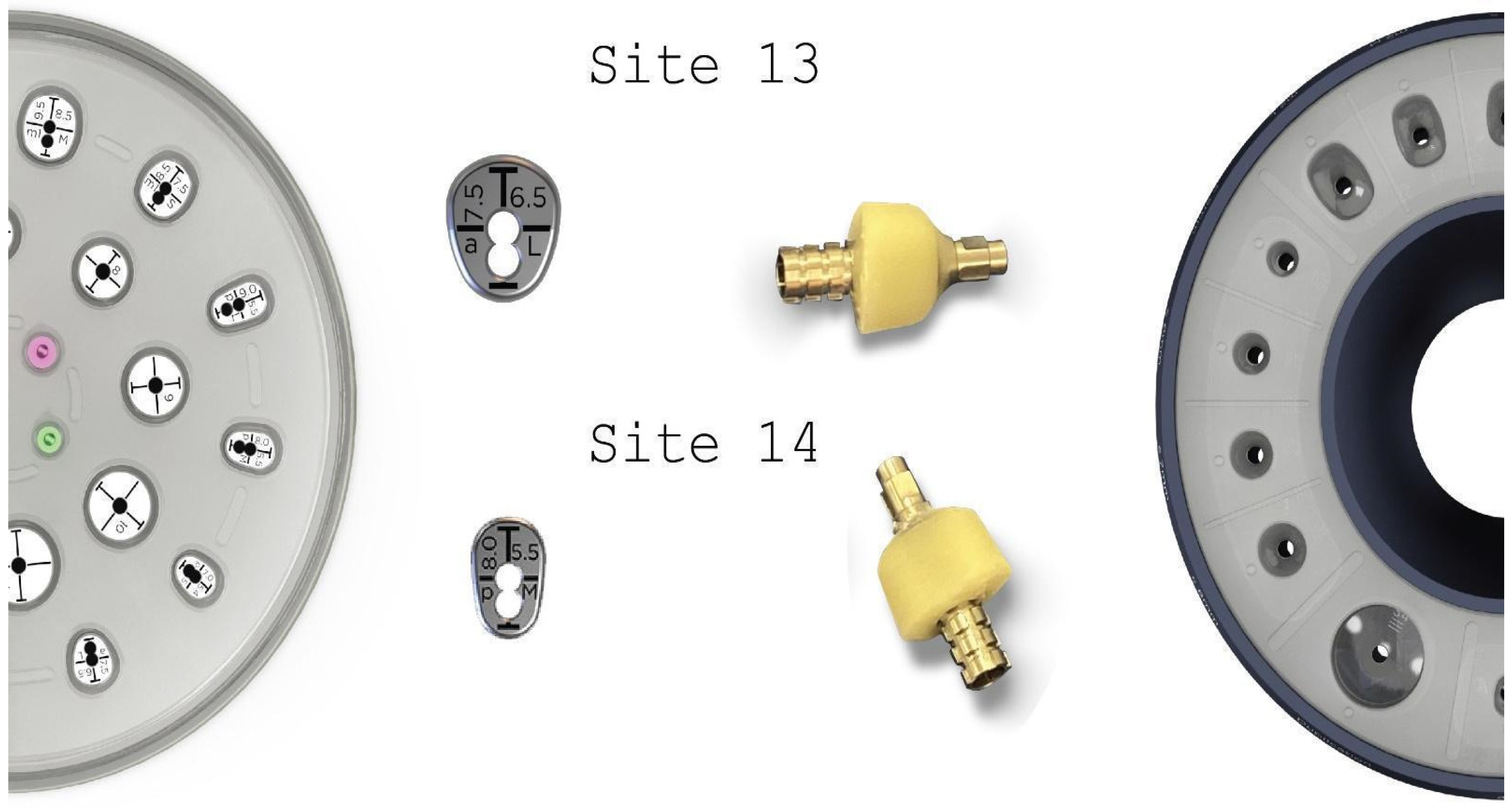 Medicina 59 01994 g012 Medicina 59 01994 g012